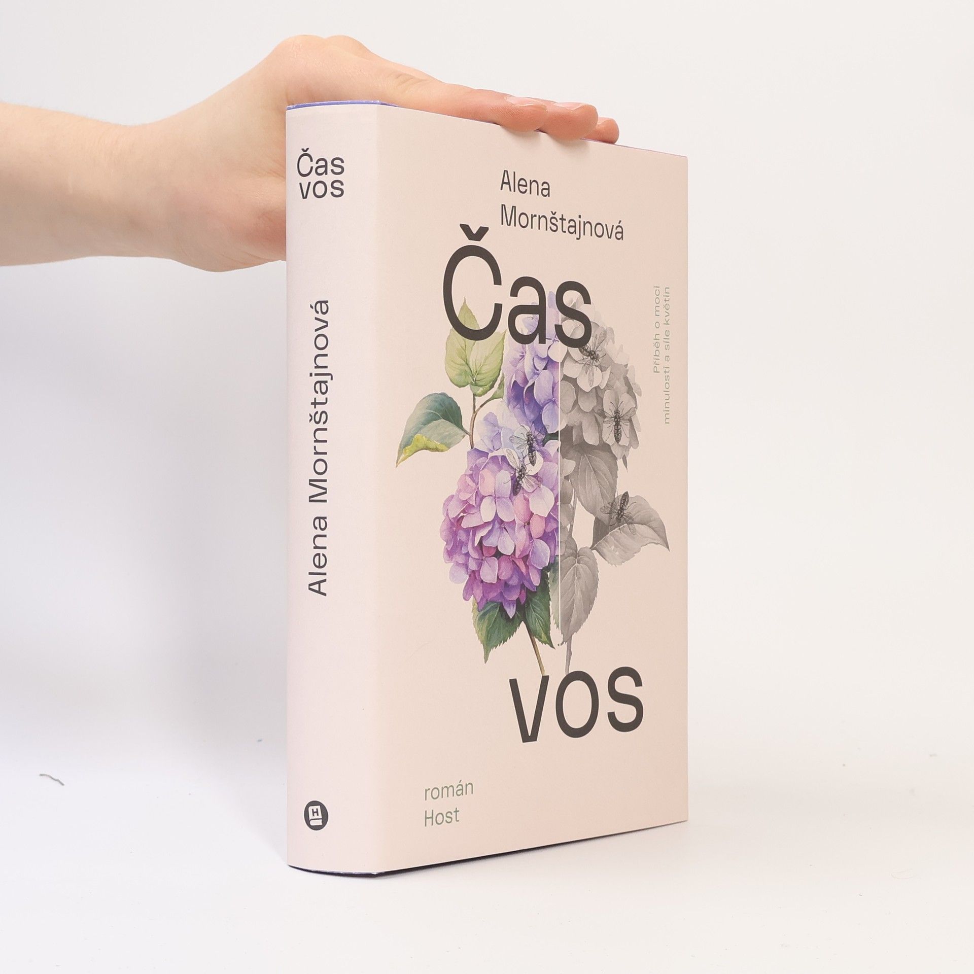 Alena Mornštajnová Čas vos