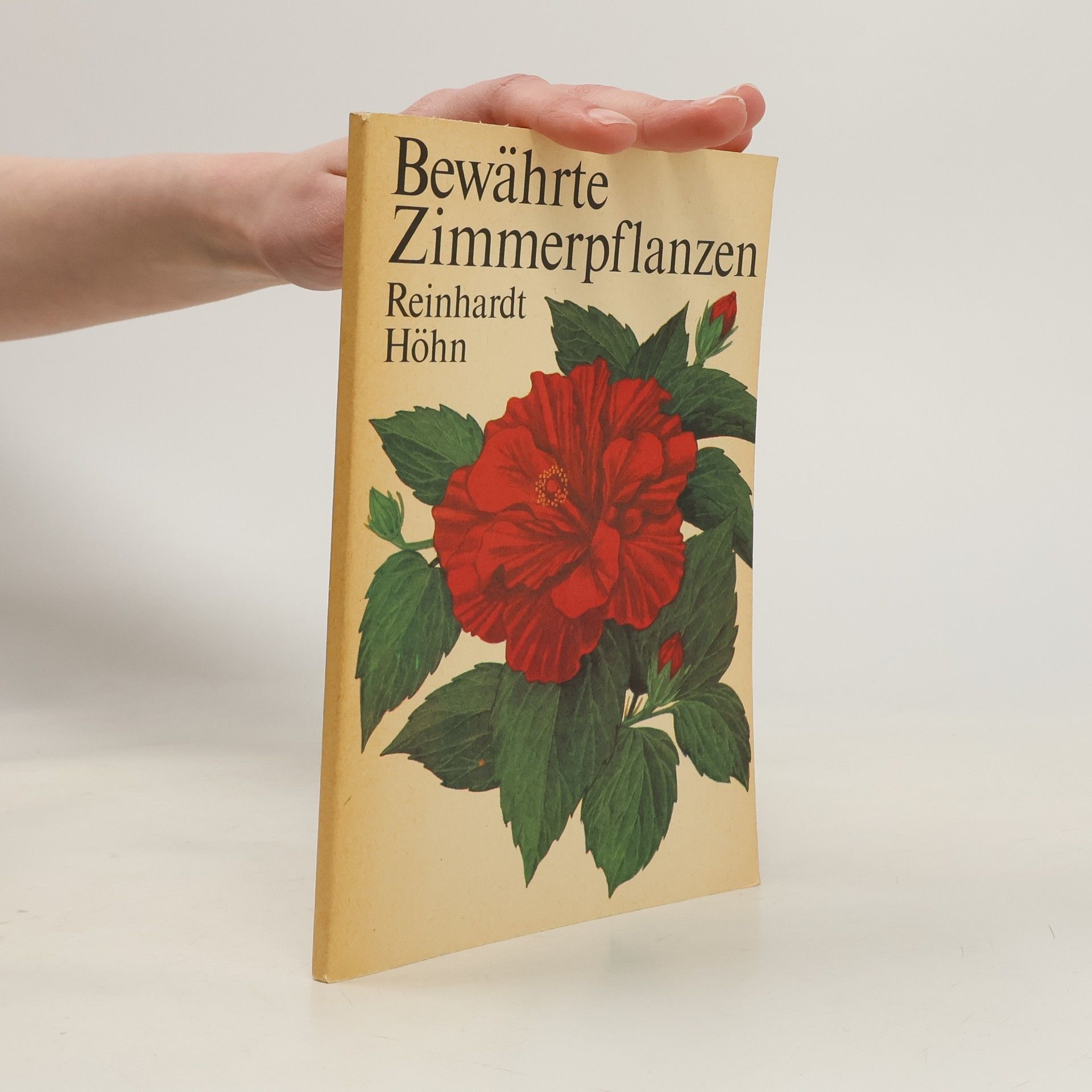 Reinhardt Höhn Bewährte Zimmerpflanzen