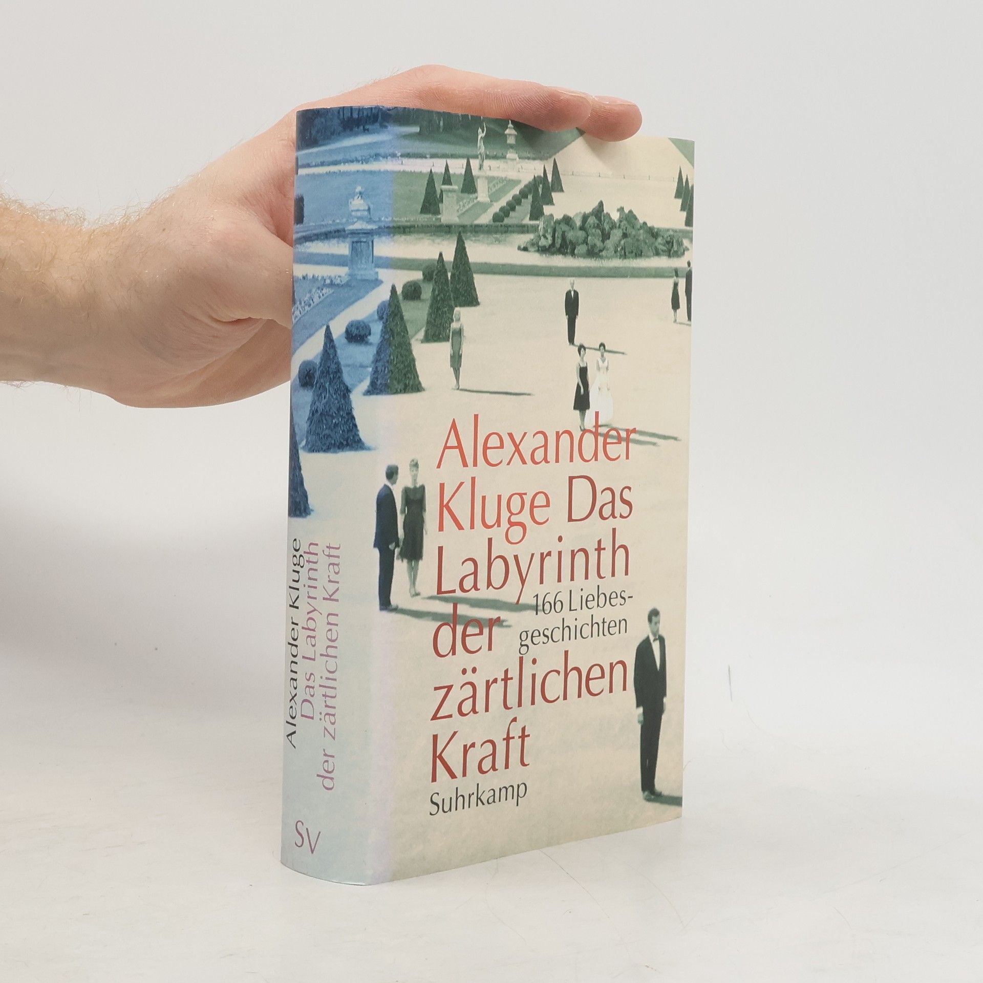 Alexander Kluge Das Labyrinth der zärtlichen Kraft, m. DVD