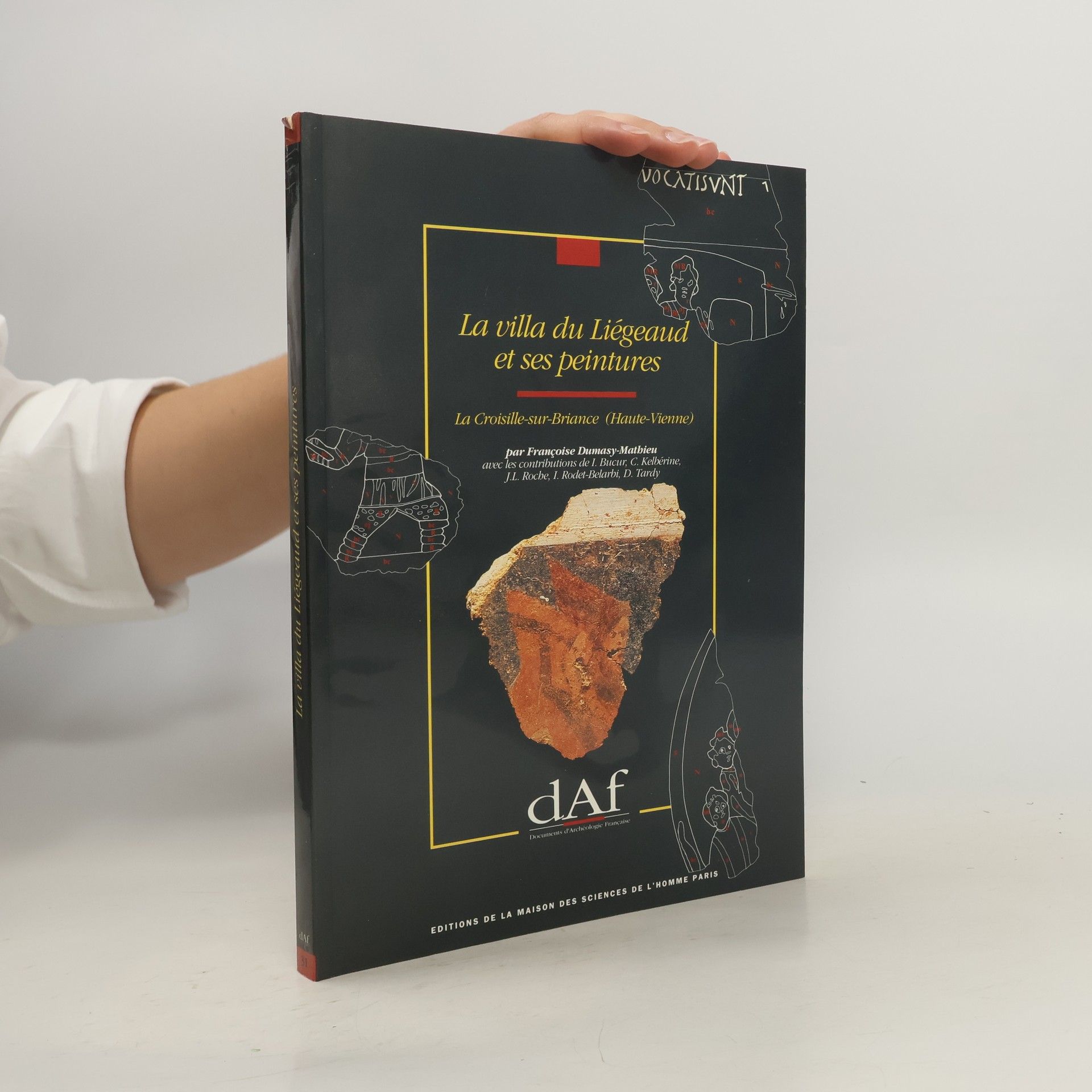 Françoise Dumasy-Mathieu Documents d'Archéologie Française: La villa du Liégeaud et ses peintures