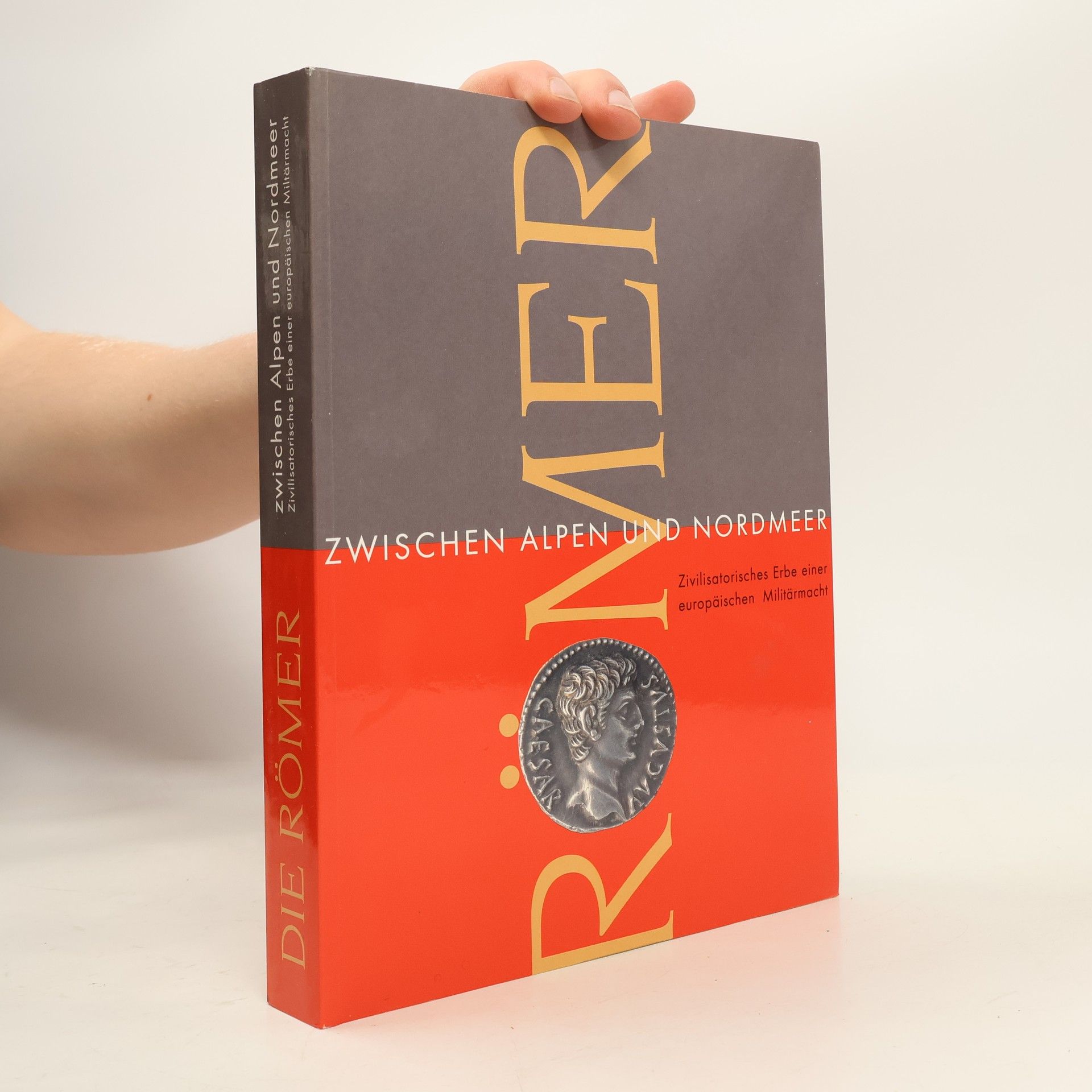 Ludwig Wamser Die Römer zwischen Alpen und Nordmeer