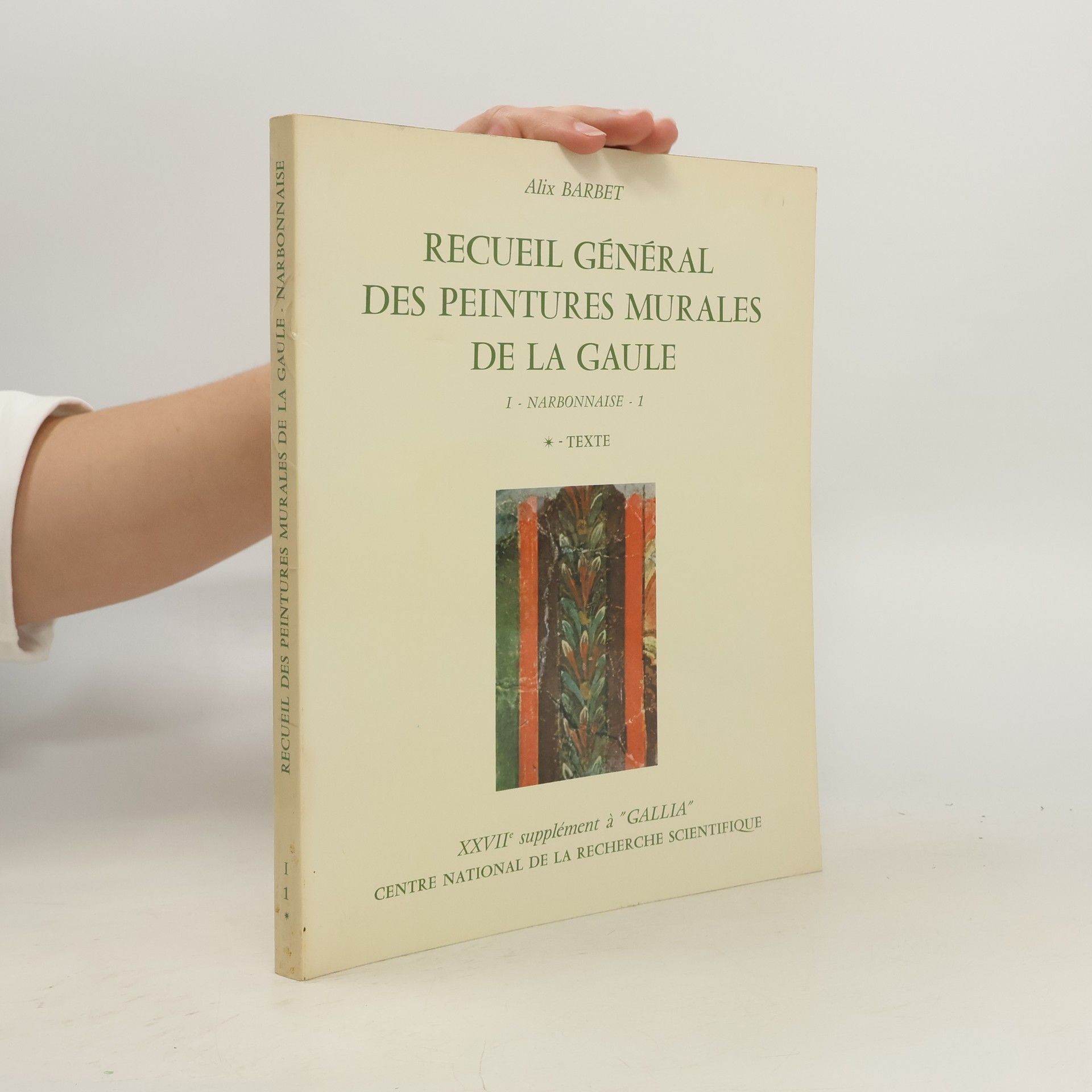Alix Barbet Gallia - I - Narbonnaise - 1: Recueil général des peintures murales de la Gaule