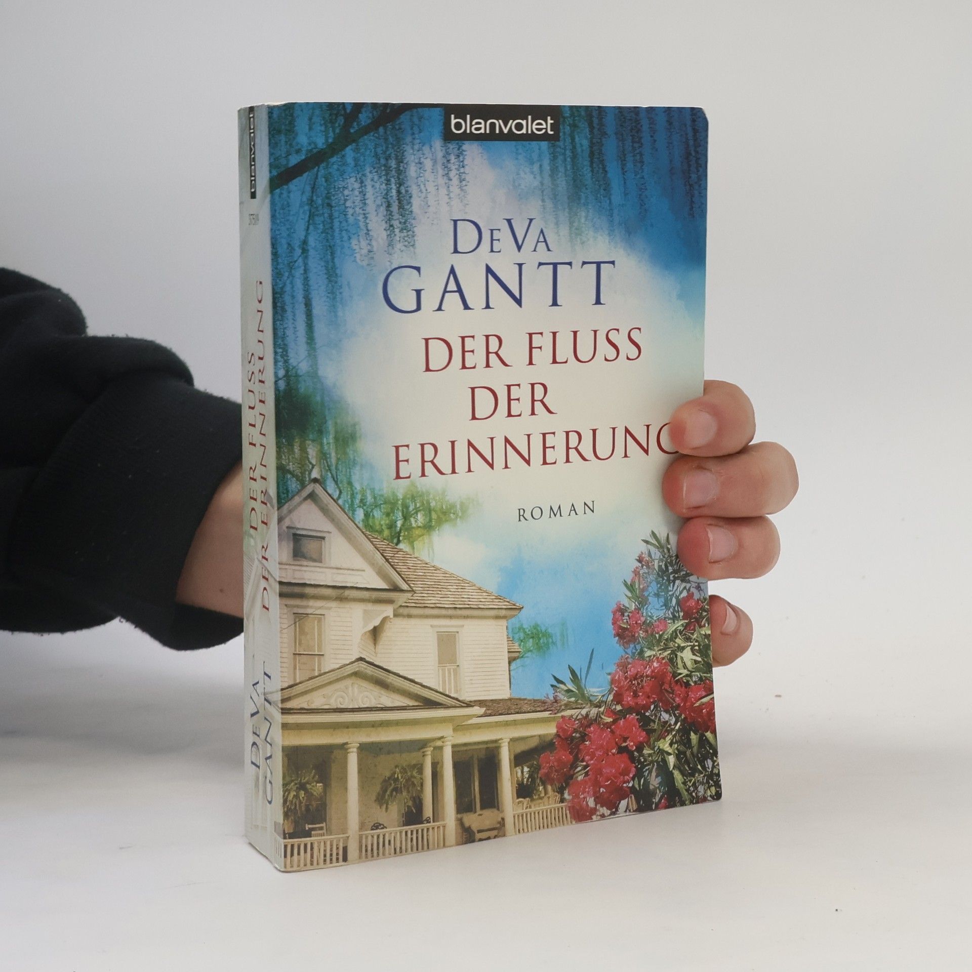 DeVa Gantt Der Fluss der Erinnerung