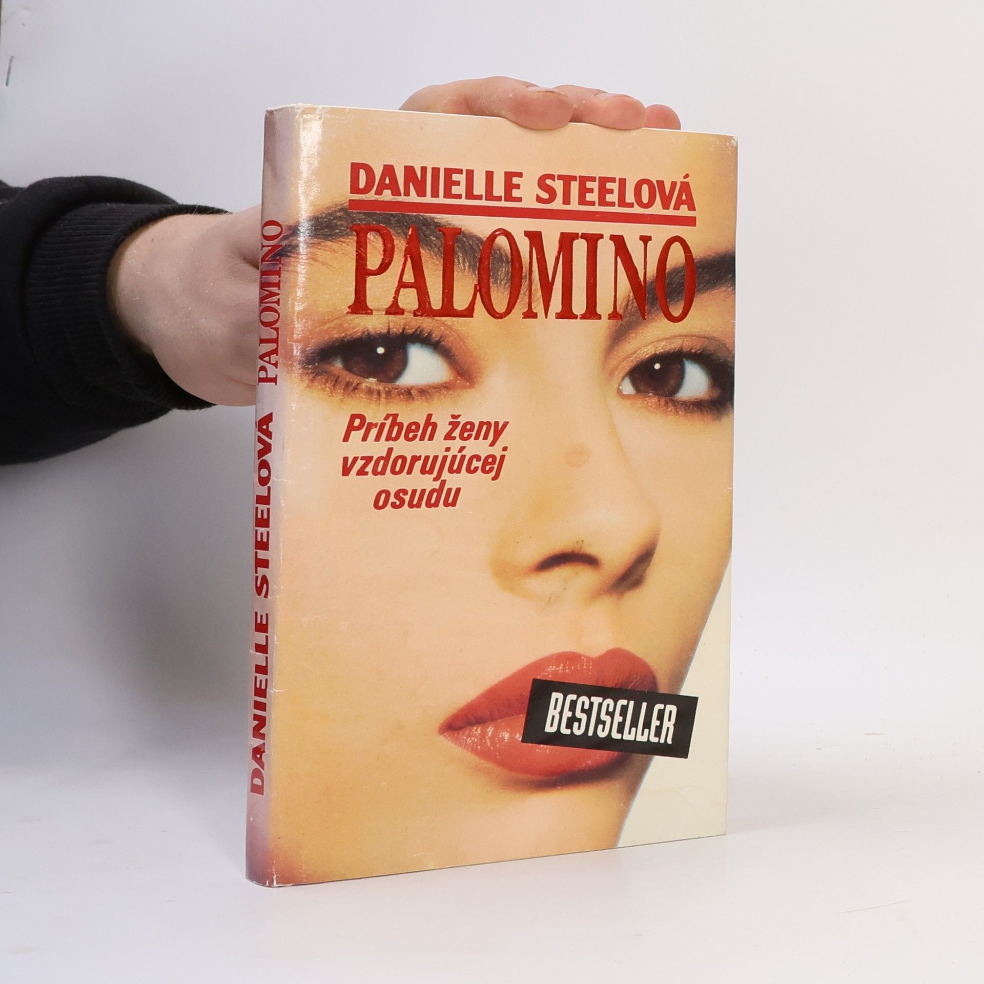 Danielle Steelová Palomino