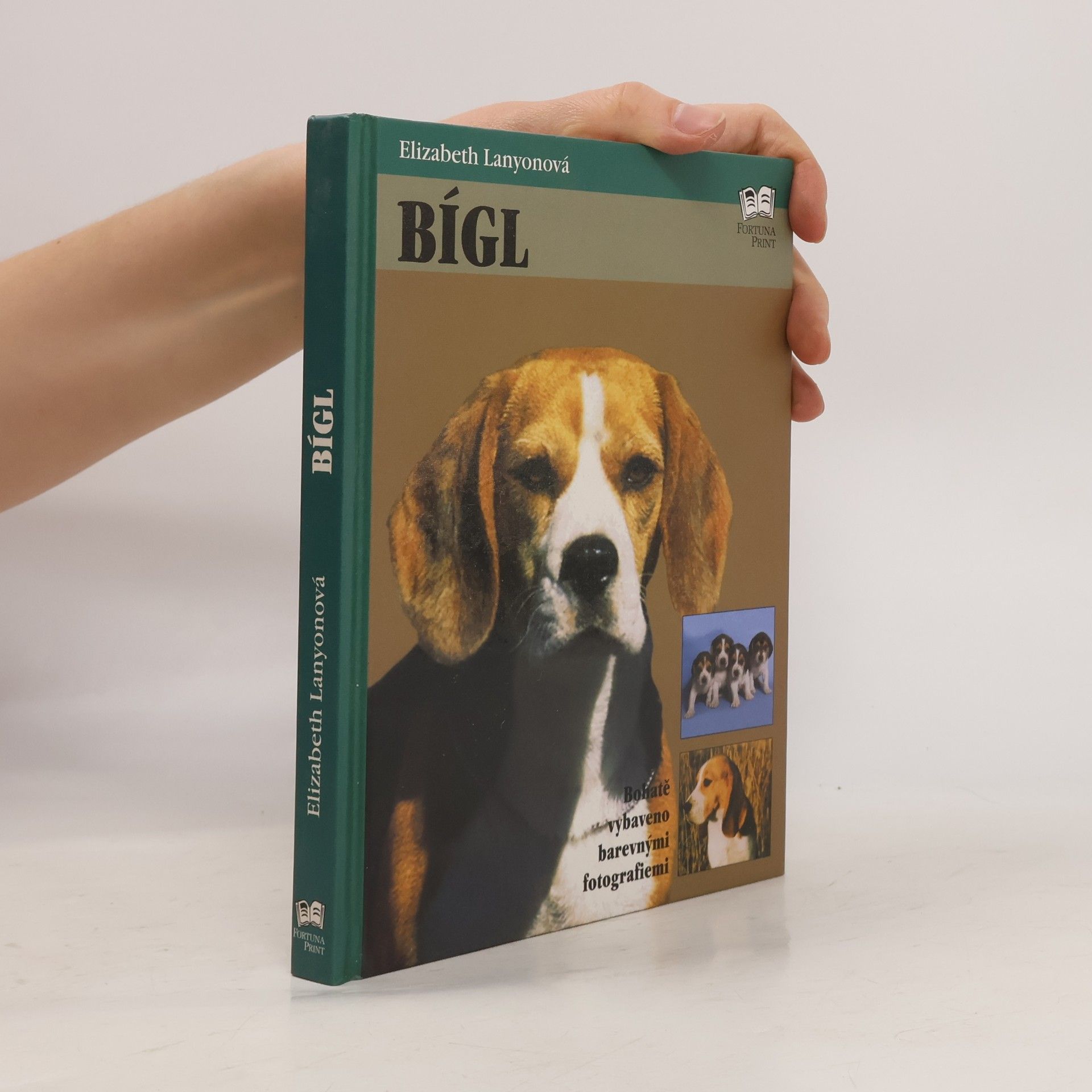 Elizabeth Lanyon Bígl