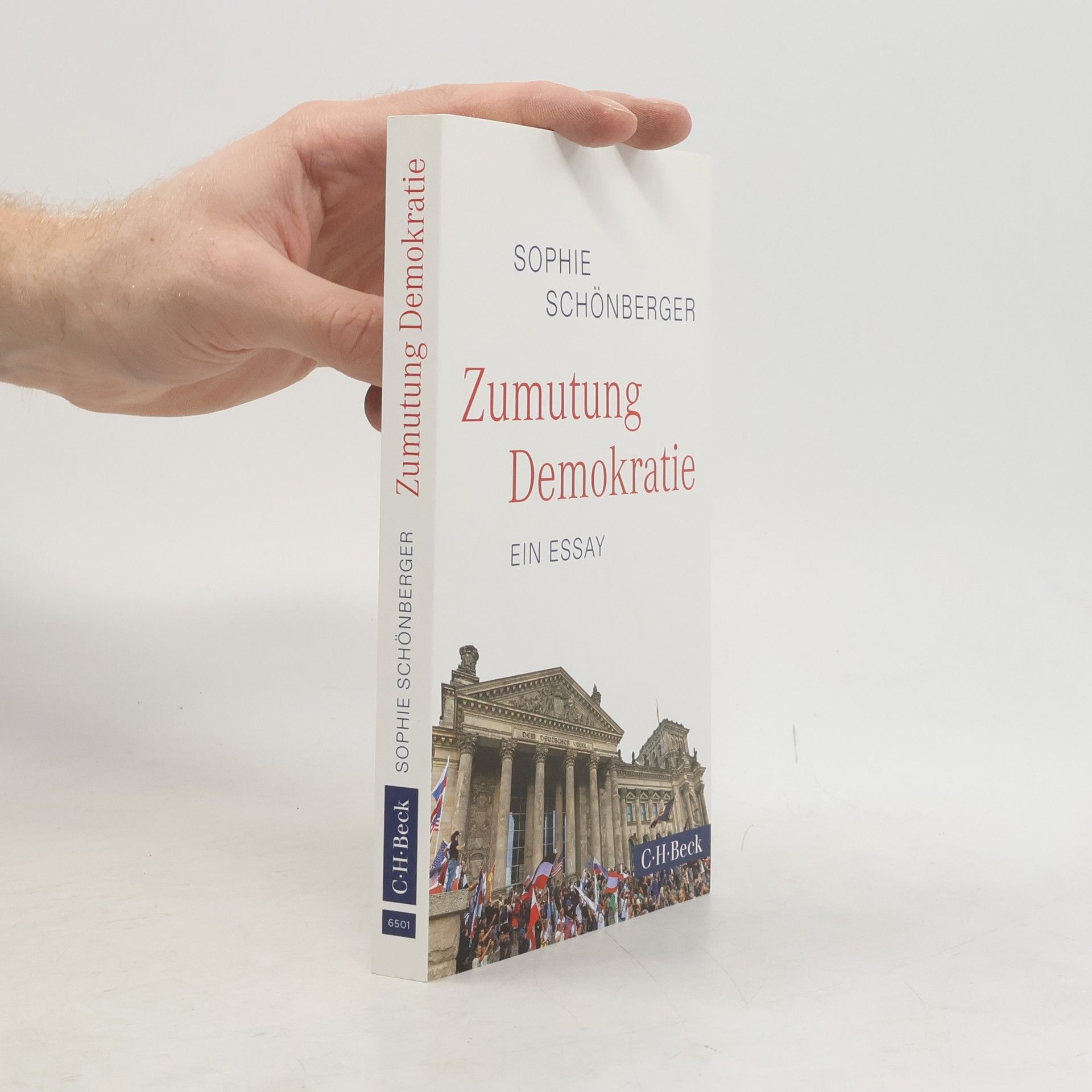 Sophie Schönberger Zumutung Demokratie