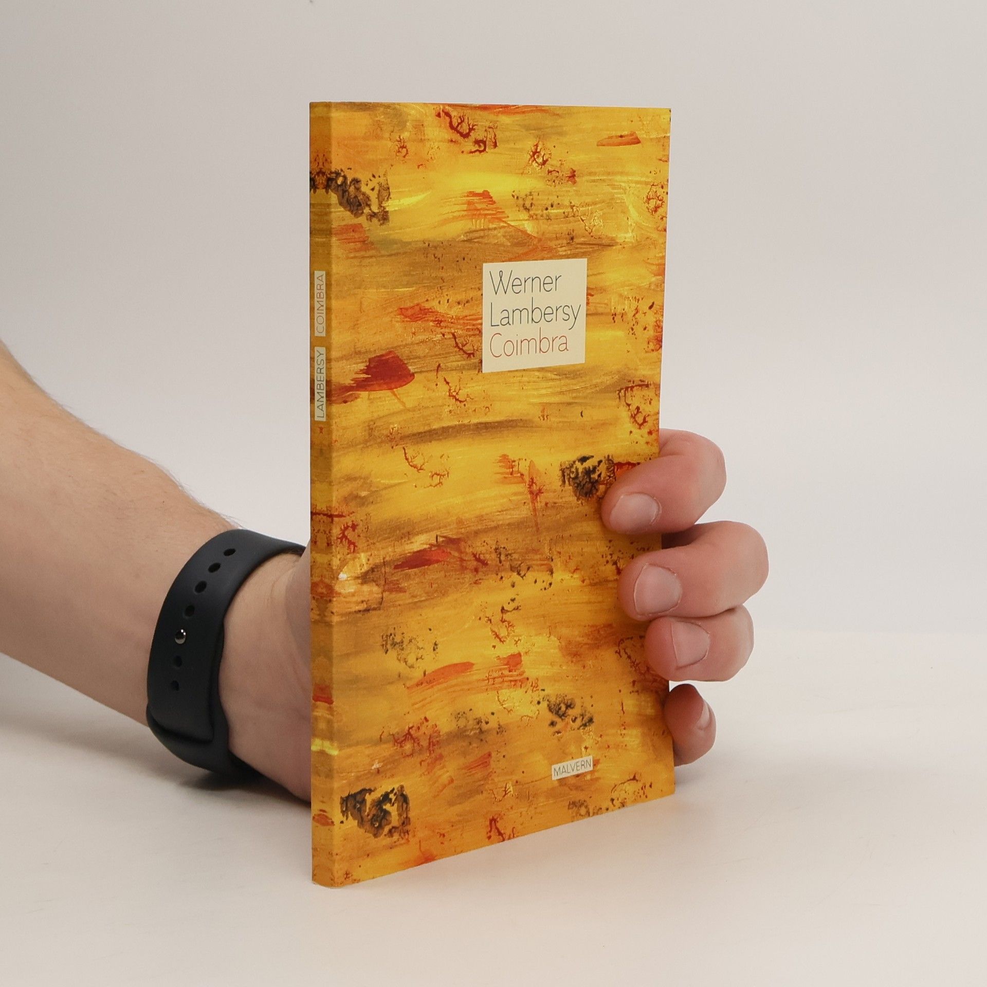 Werner Lambersy Coimbra