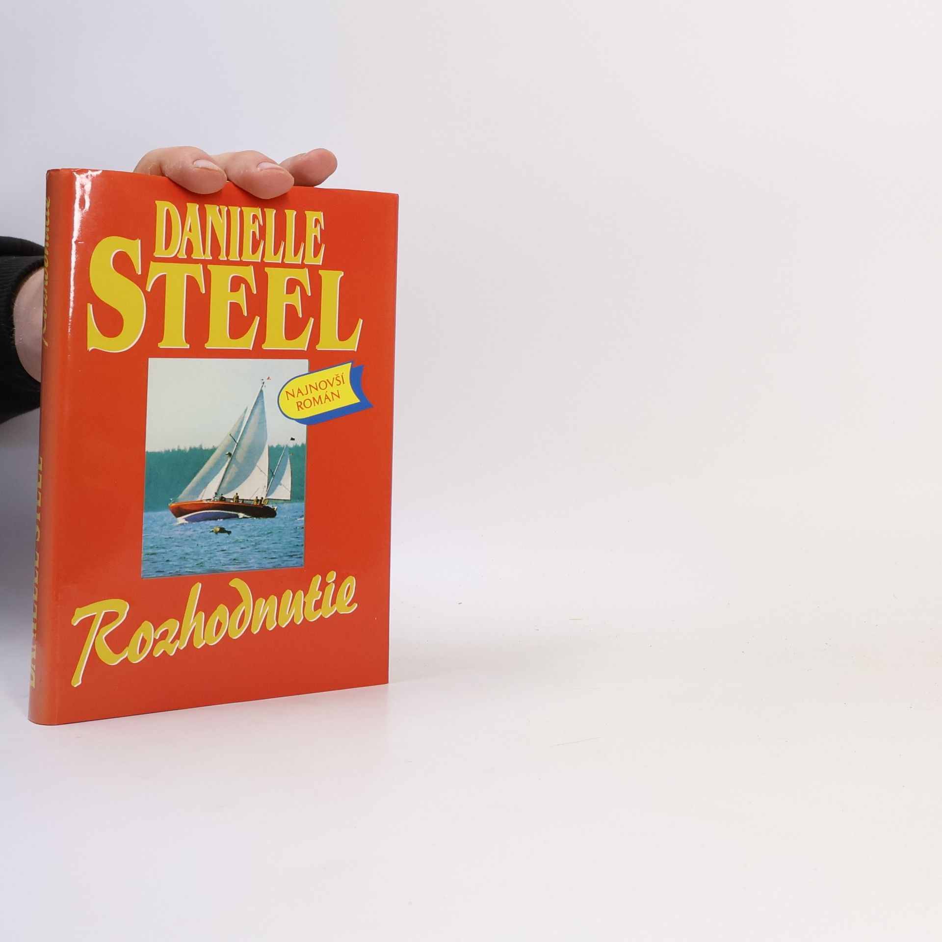 Danielle Steel Rozhodnutie