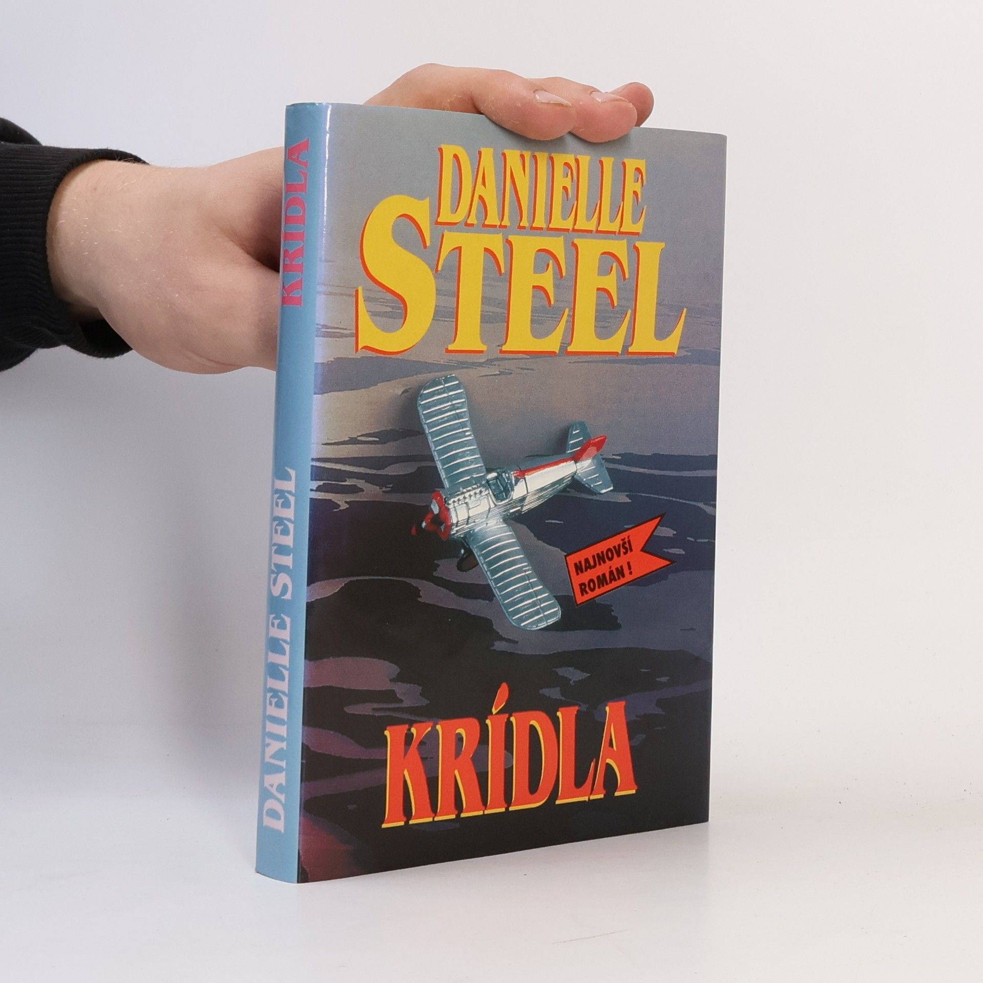 Danielle Steel Krídla