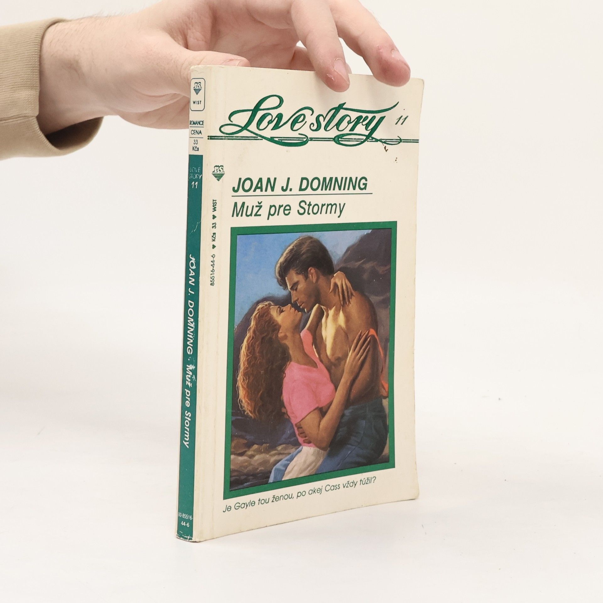 Joan J. Domning Muž pre Stormy