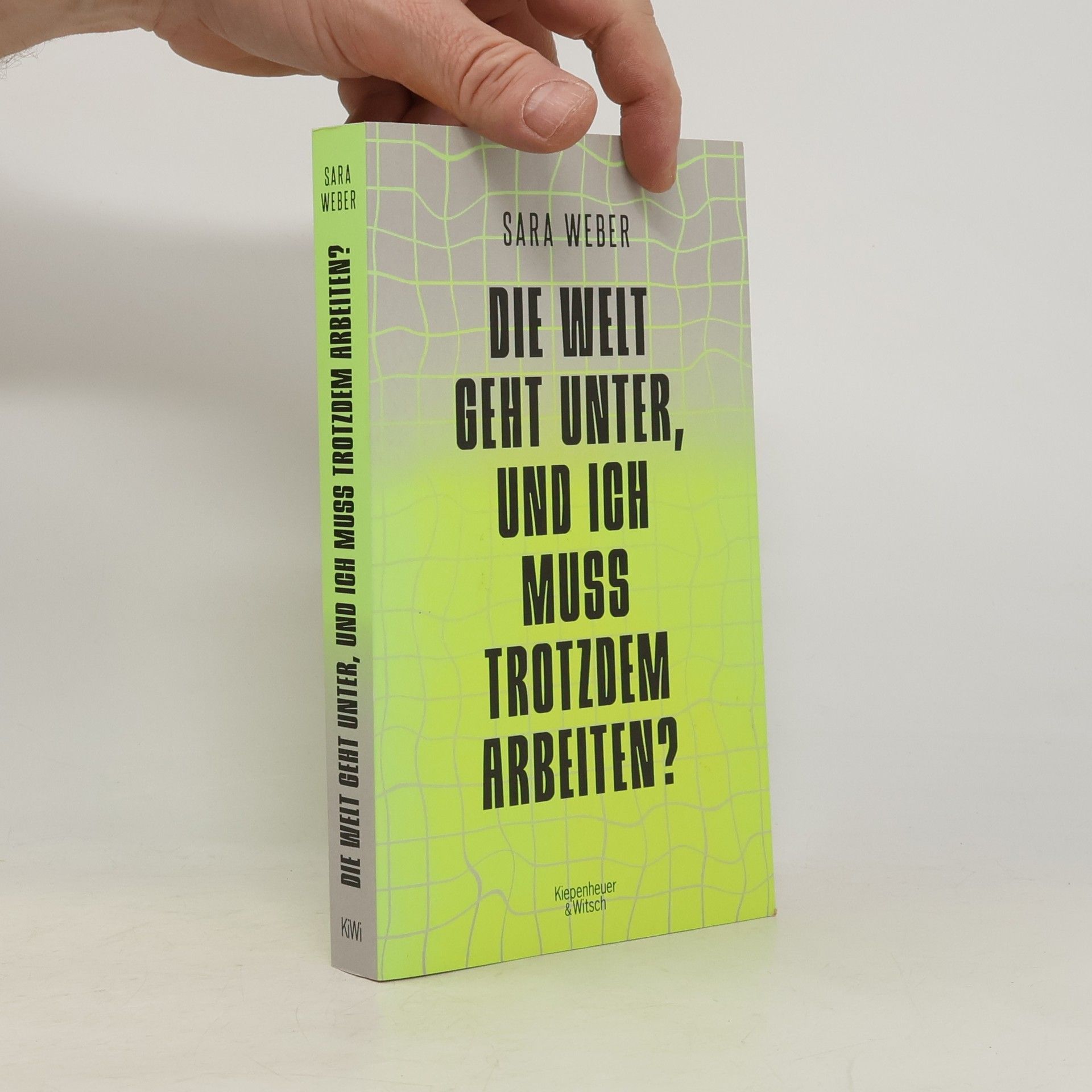 Sara Weber Die Welt geht unter, und ich muss trotzdem arbeiten?