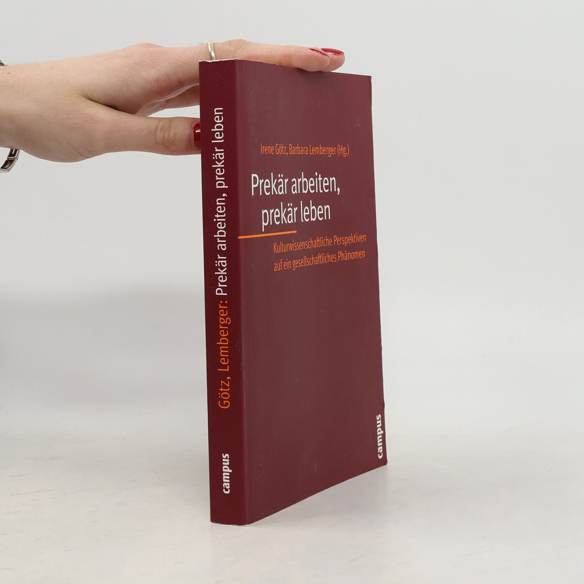 Irene Götz Prekär arbeiten, prekär leben