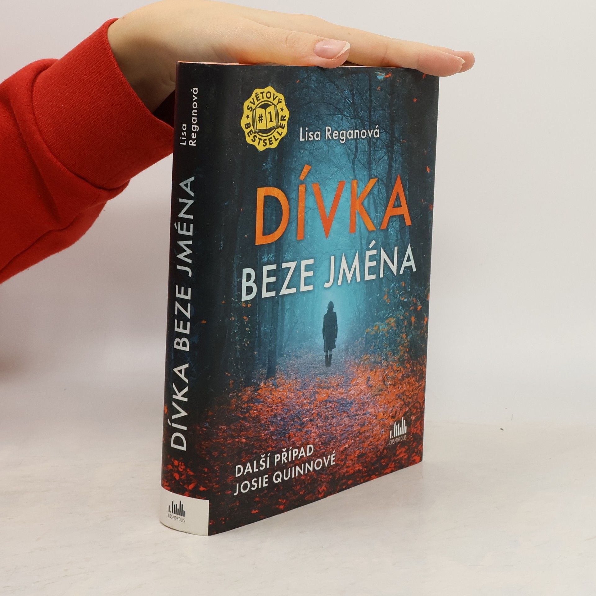 Lisa Regan Dívka beze jména: Další případ Josie Quinnové