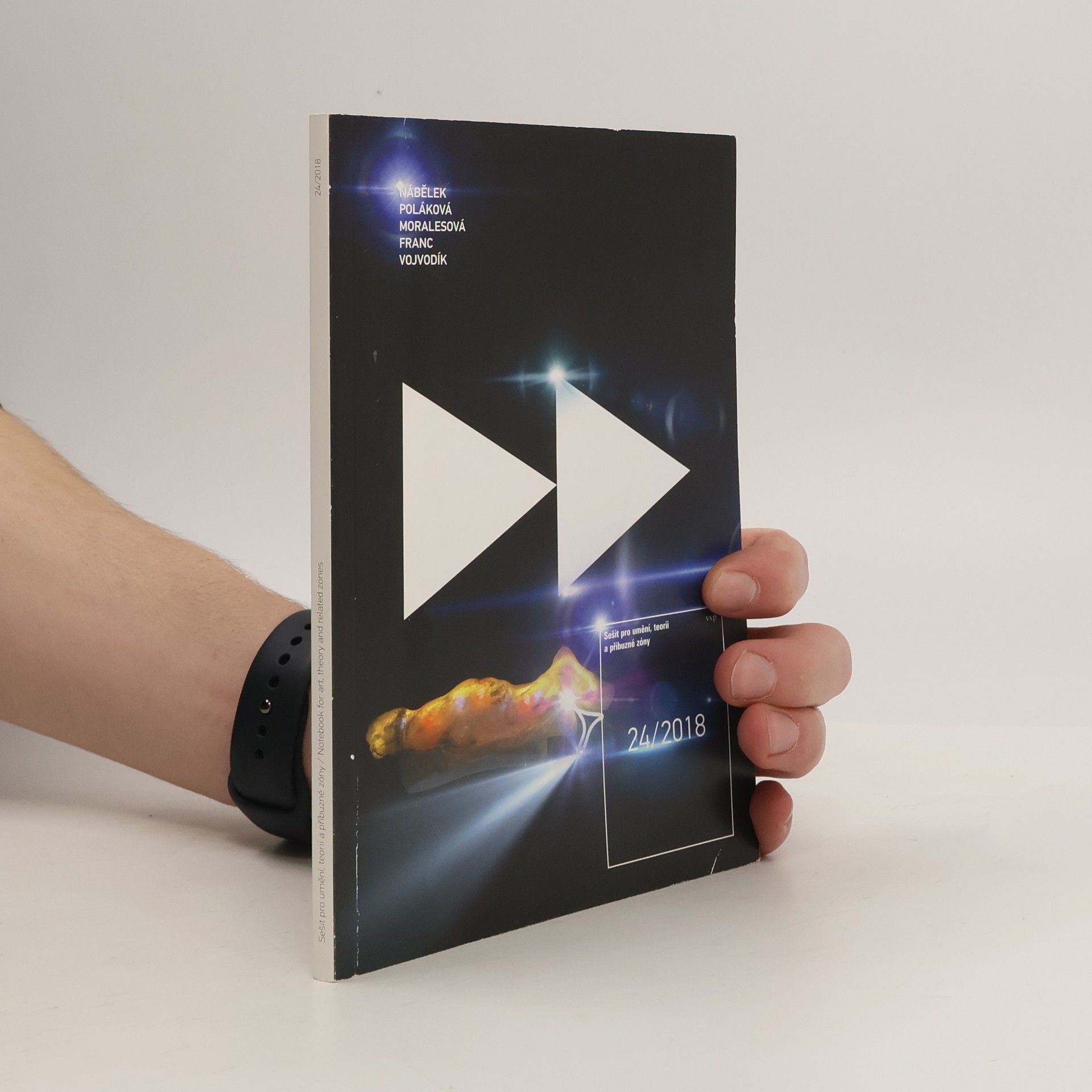 Kolektiv autorů Sešit pro umění, teorii a příbuzné zóny. 24/2018