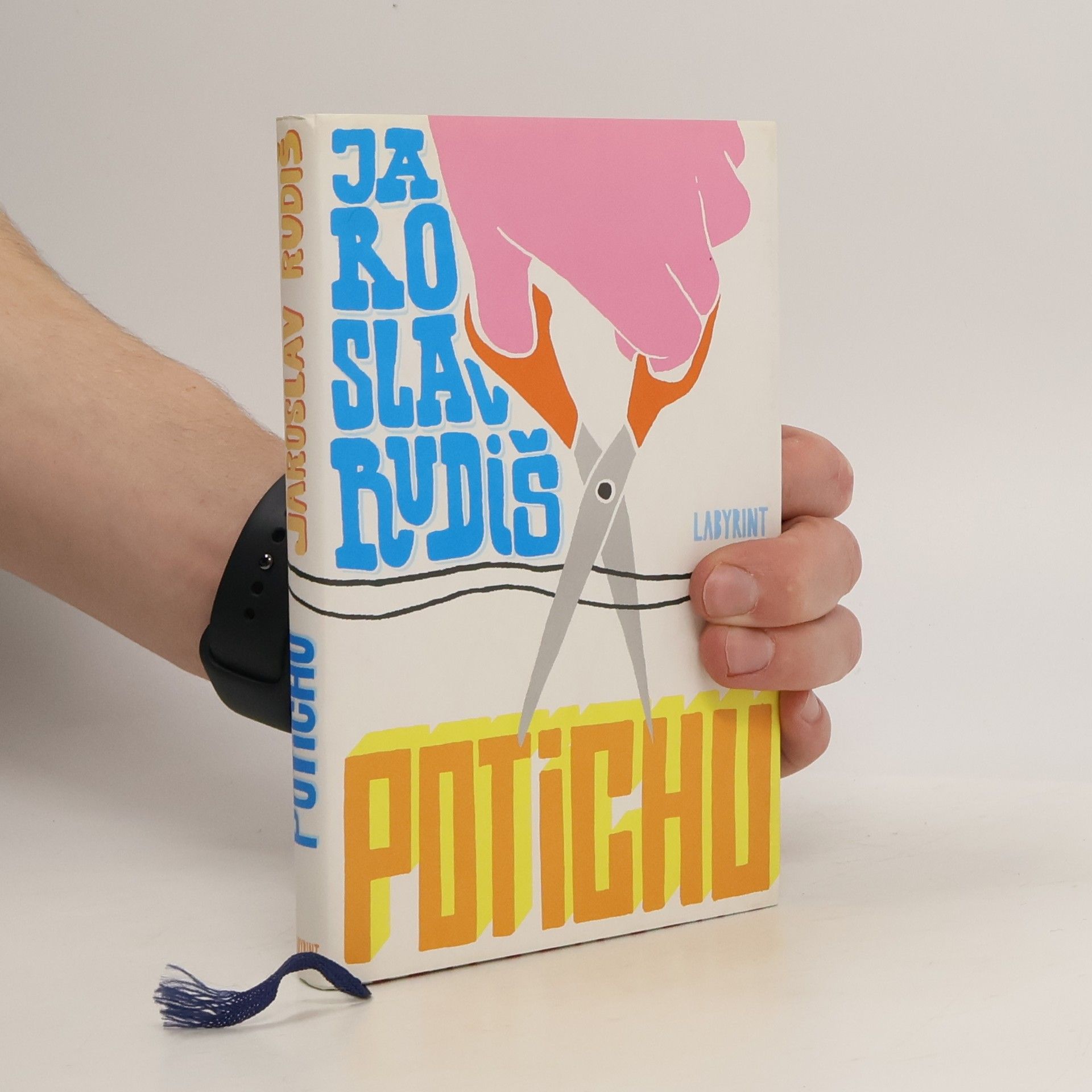 Jaroslav Rudiš Potichu