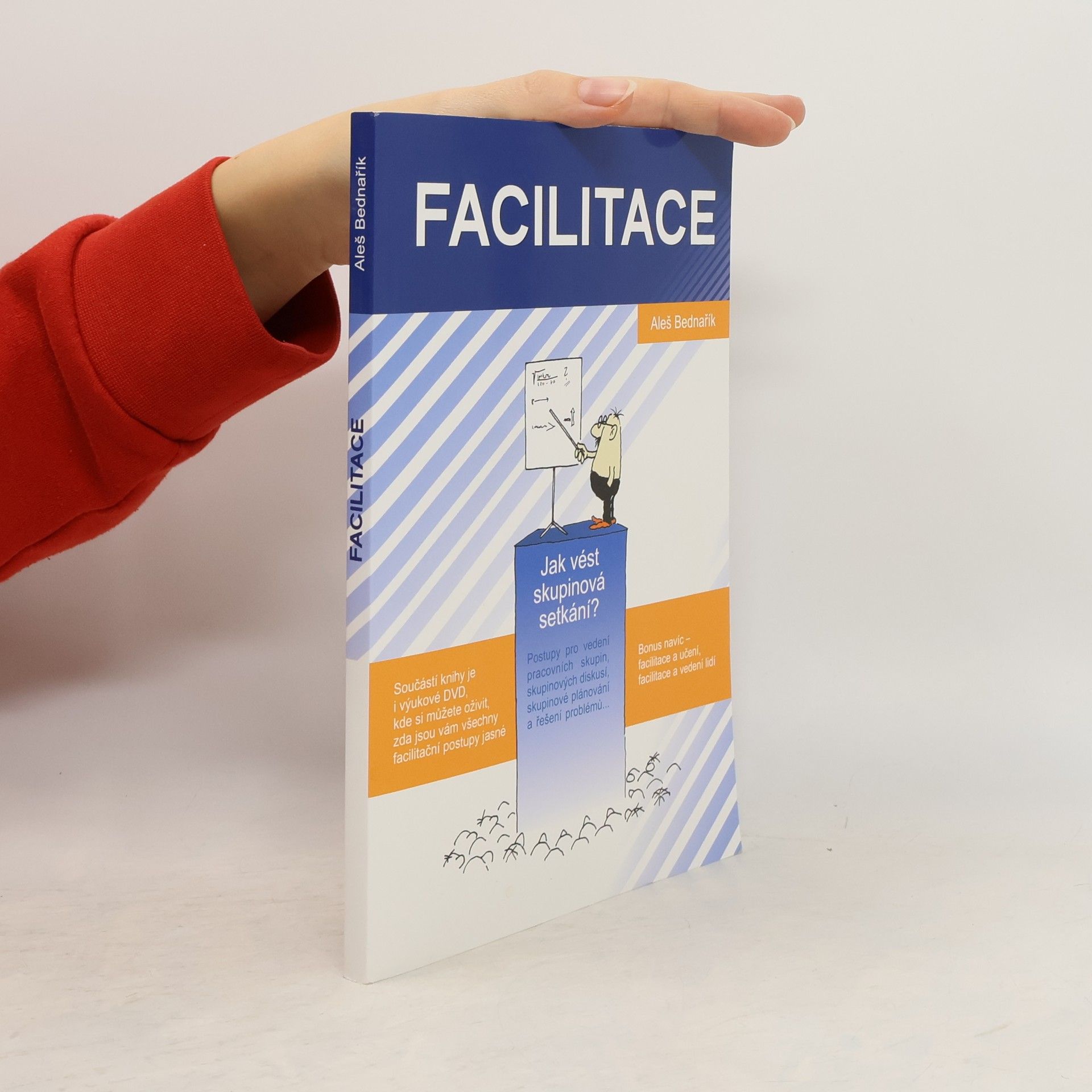 Aleš Bednařík Facilitace