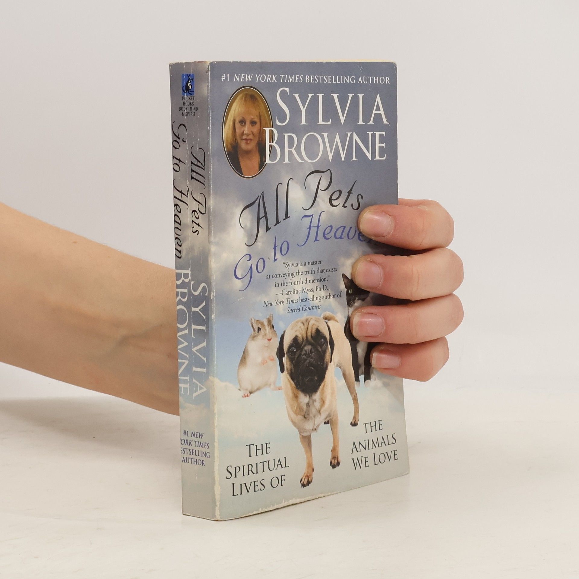 Sylvia Browne All Pets Go To Heaven