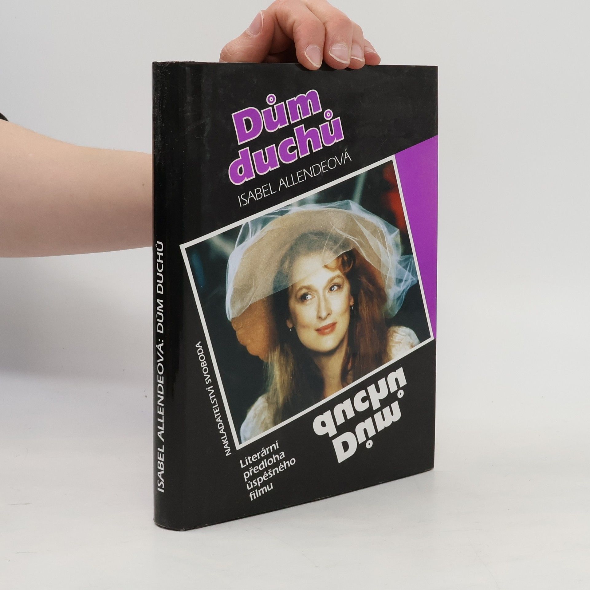 Isabel Allende Dům duchů