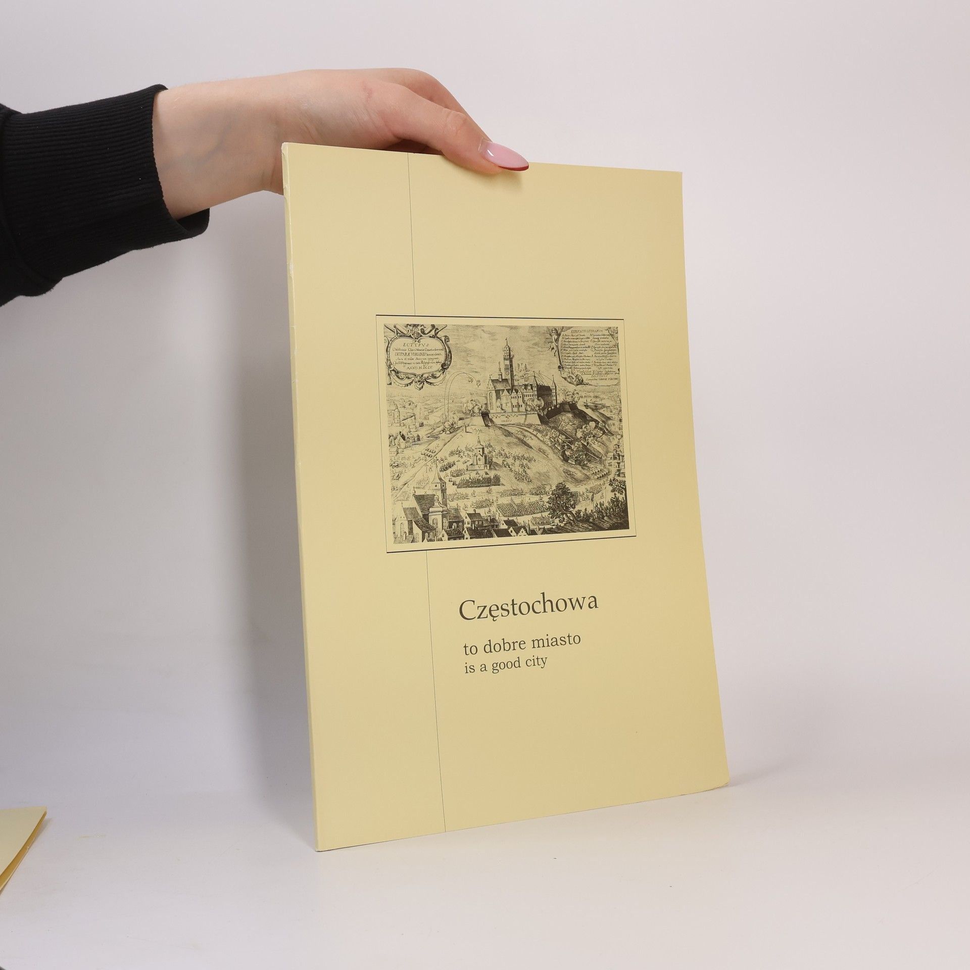 AA.VV. Częstochowa to dobre miasto