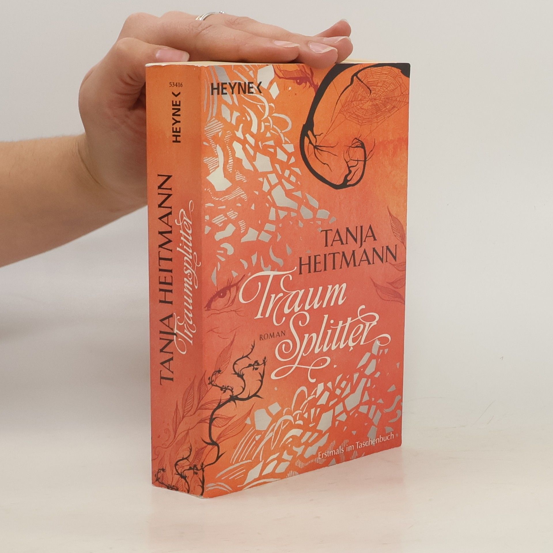 Tanja Heitmann Traumsplitter