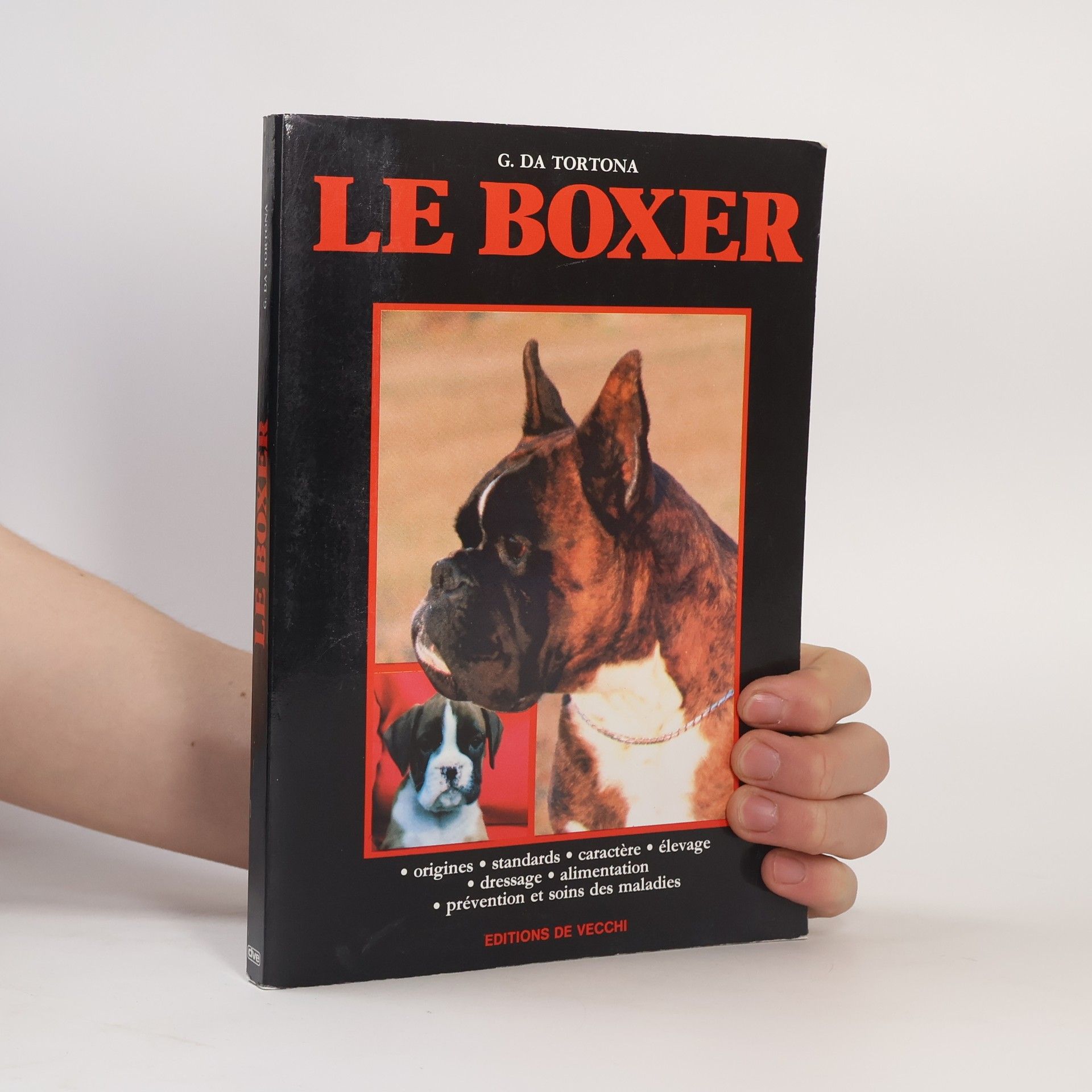 Guido Da Tortona Le boxer