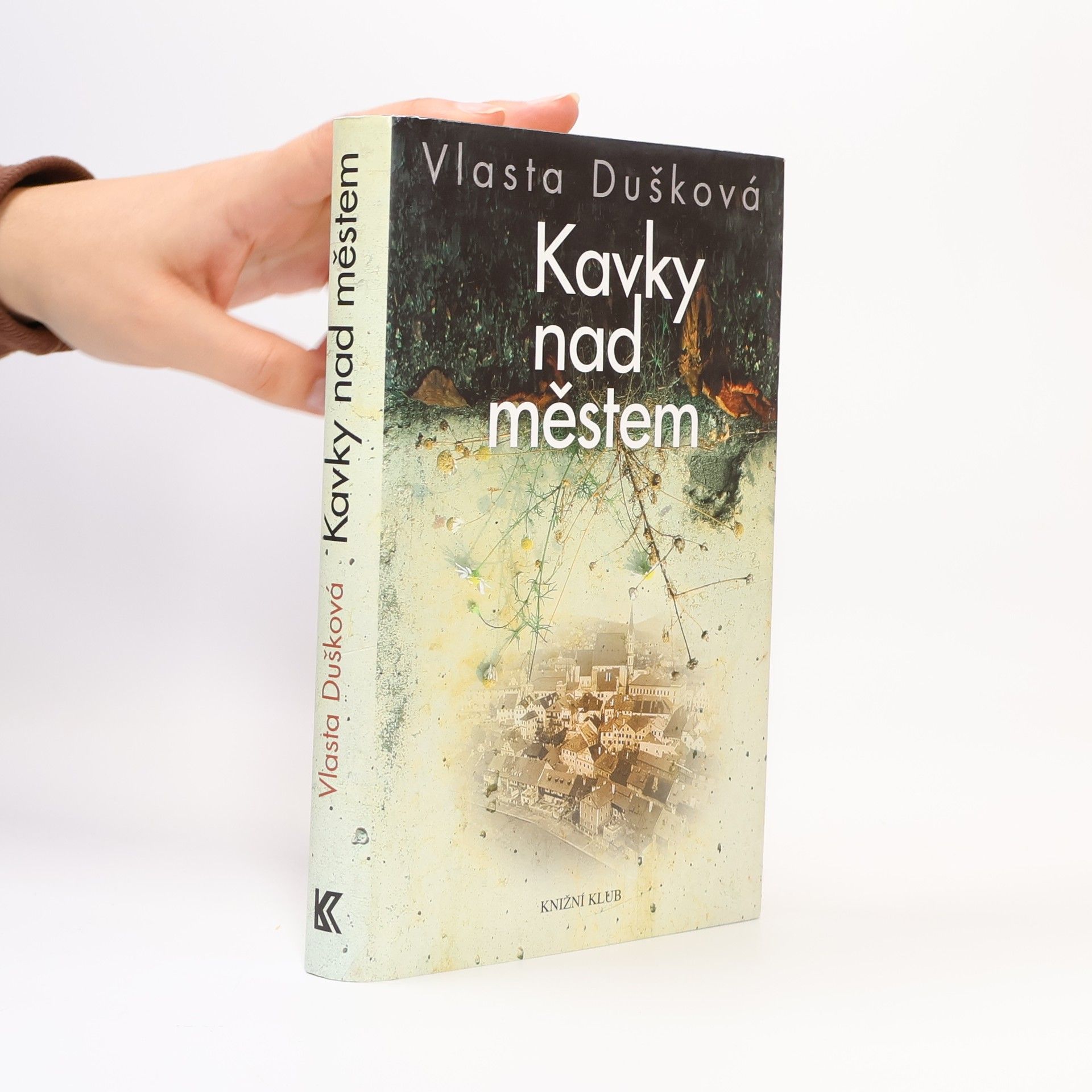 Vlasta Dušková Kavky nad městem