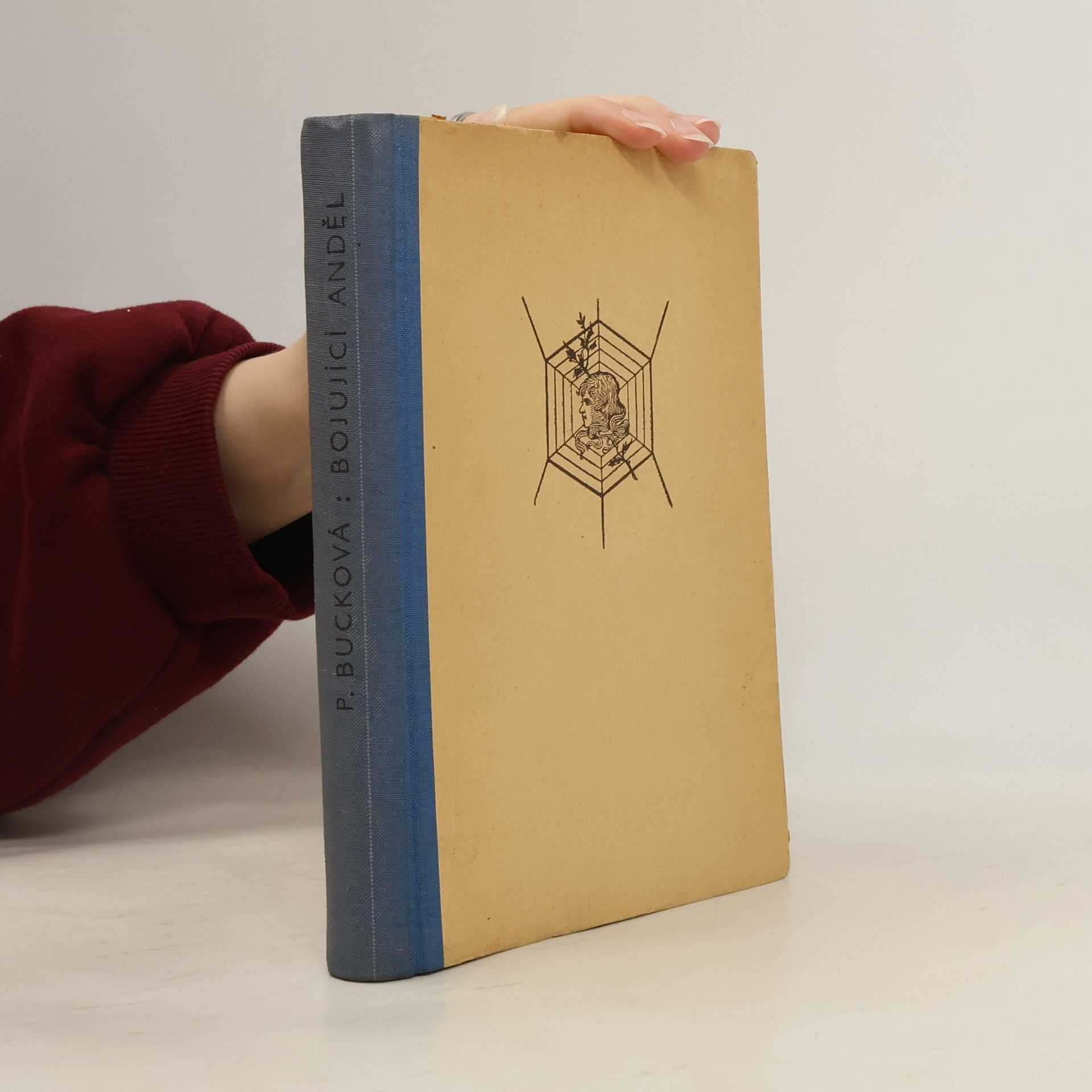 Pearl S. Buck Bojující anděl