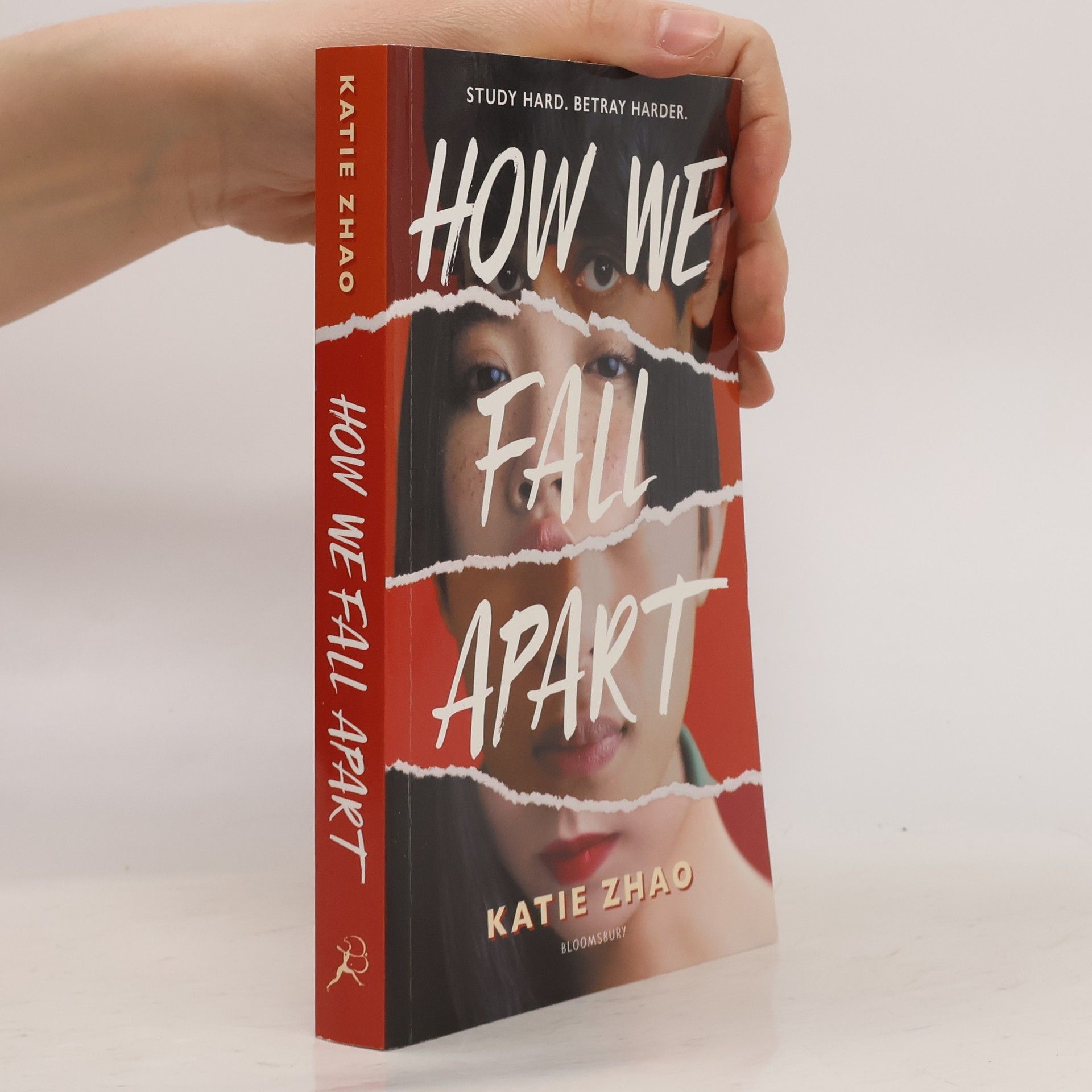 Katie Zhao How We Fall Apart
