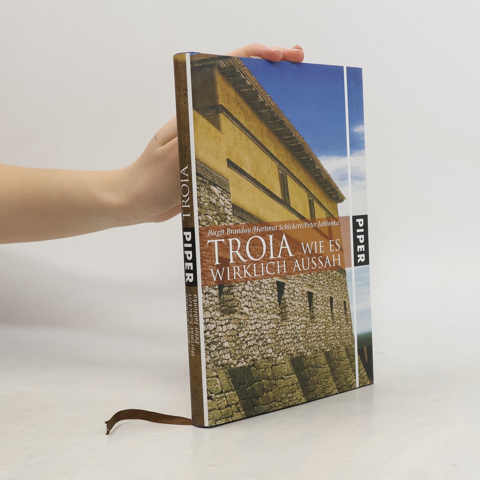 Birgit Brandau Troia