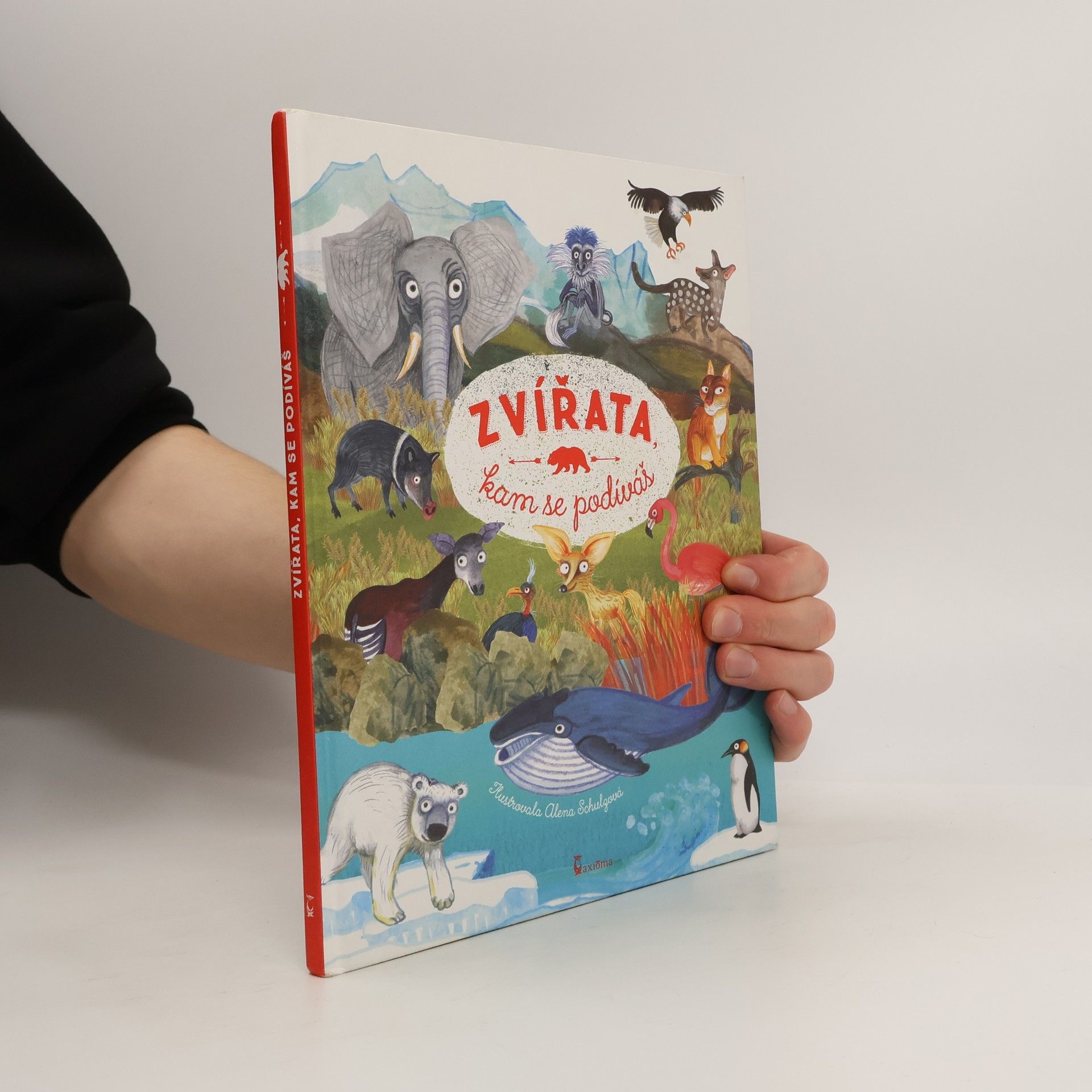 Ivana Kocmanová Zvířata, kam se podíváš