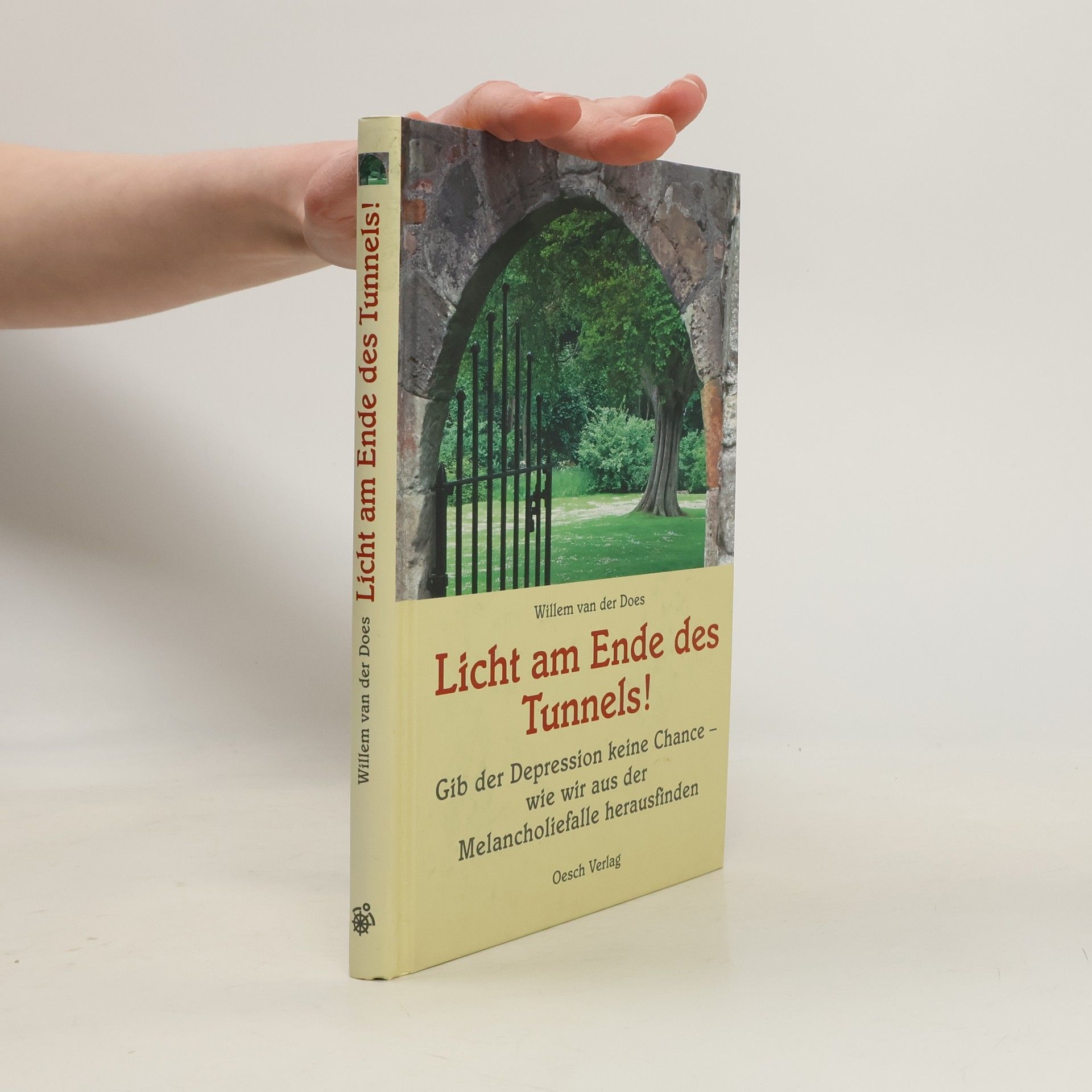 Willem van der Does Licht am Ende des Tunnels!