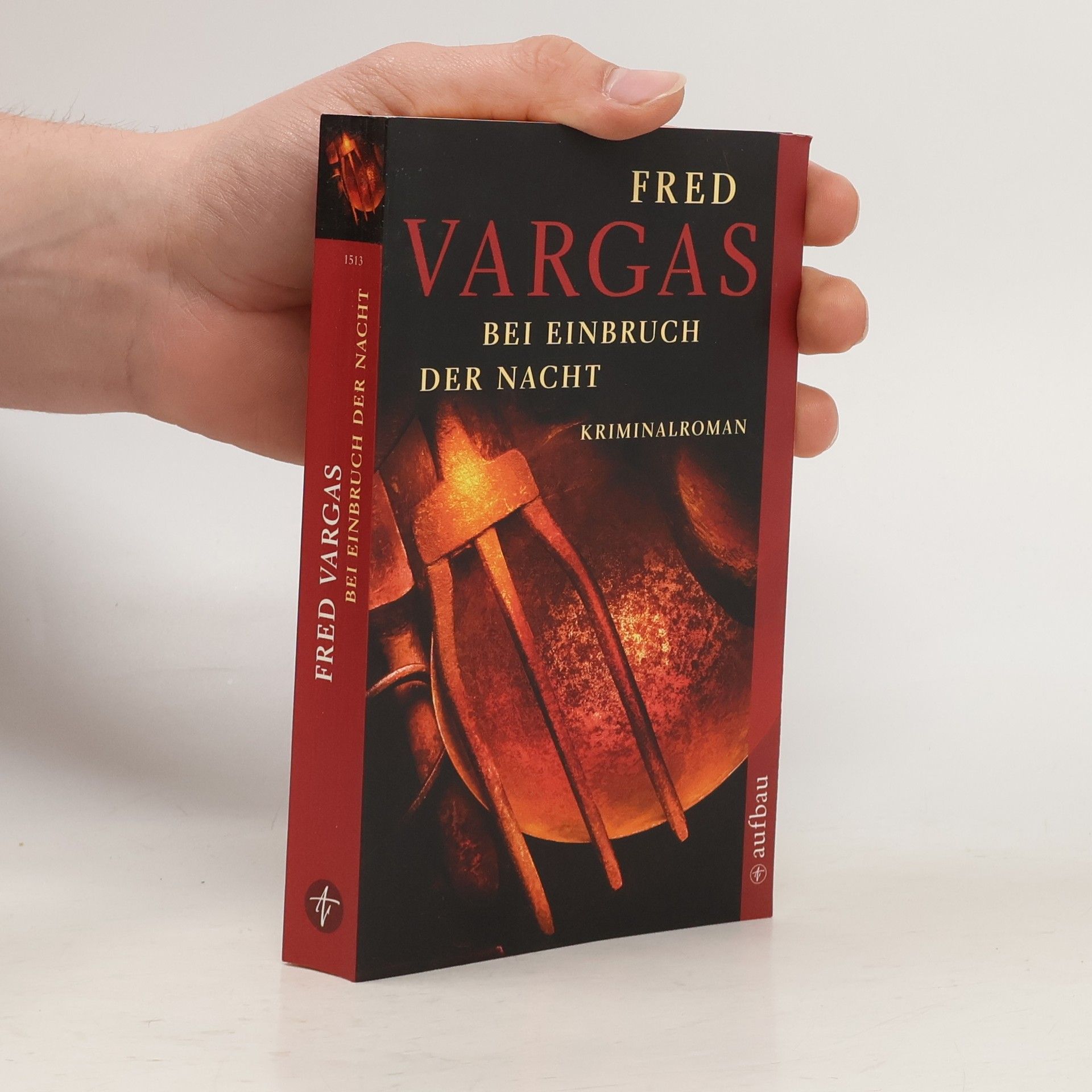 Fred Vargas Bei Einbruch der Nacht