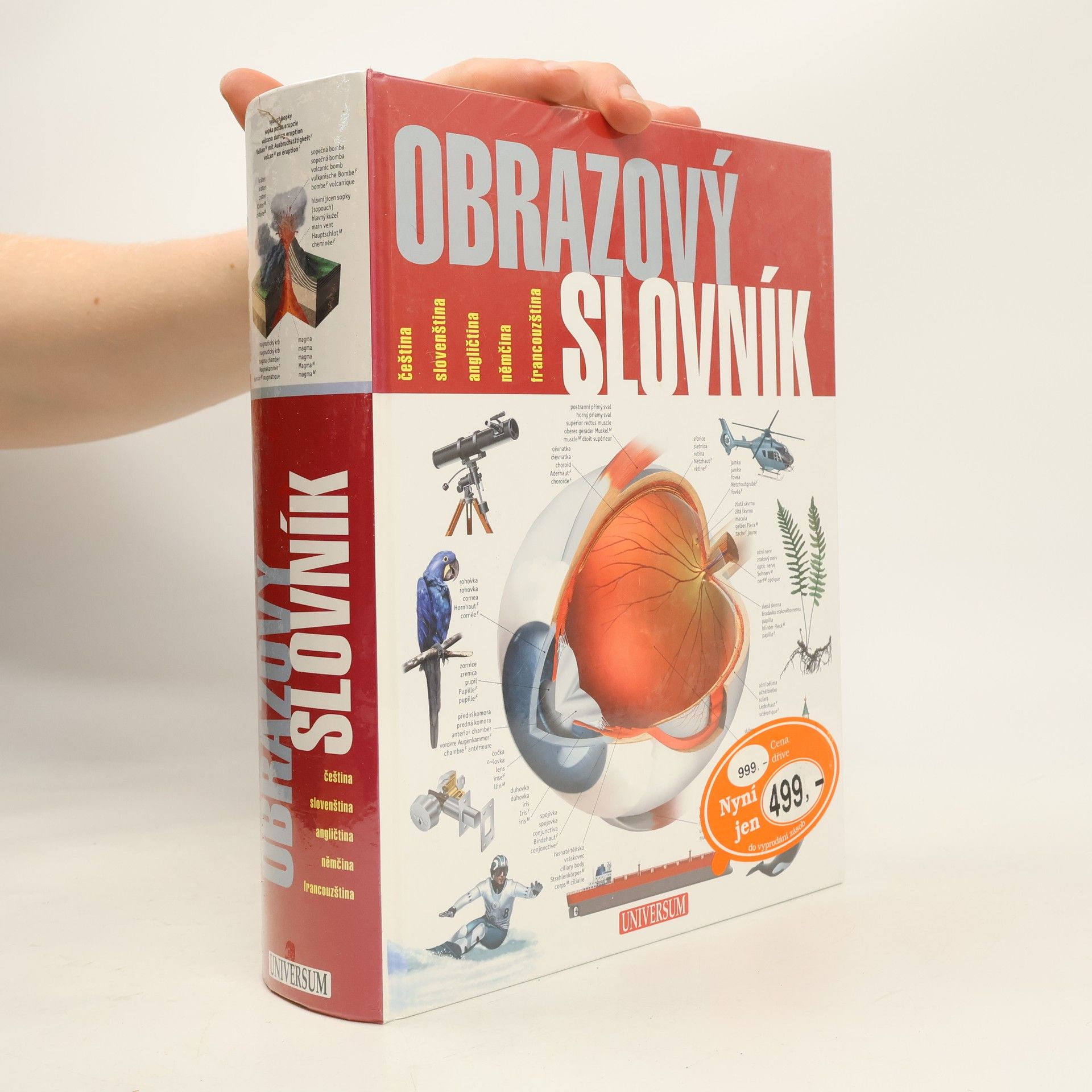 Obrazový slovník : čeština, slovenština, angličtina, němčina, francouzština