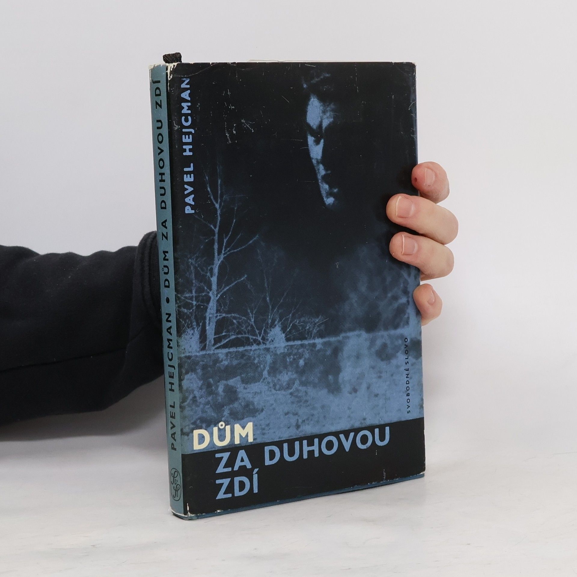 Pavel Hejcman Dům za duhovou zdí