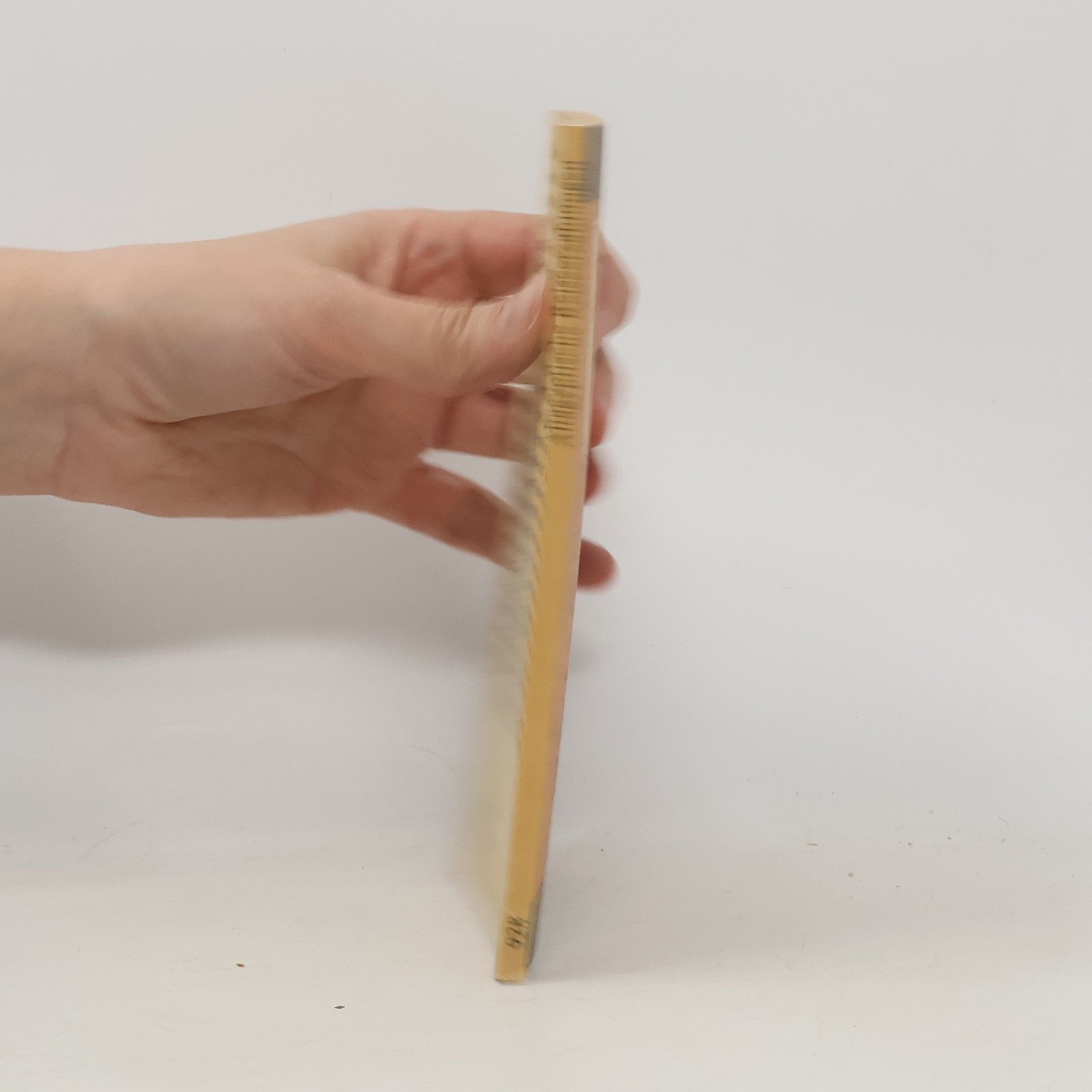 Kolektiv autorů Altägyptische Reiseerzählungen