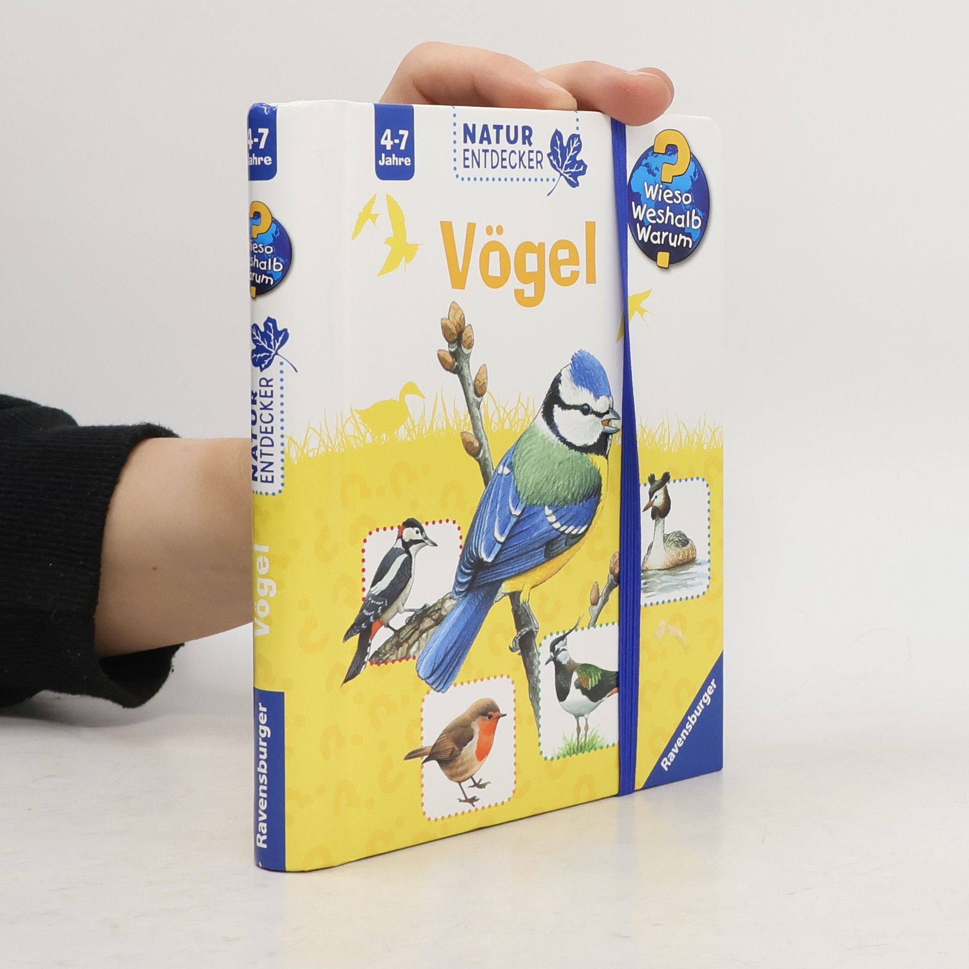 Vögel