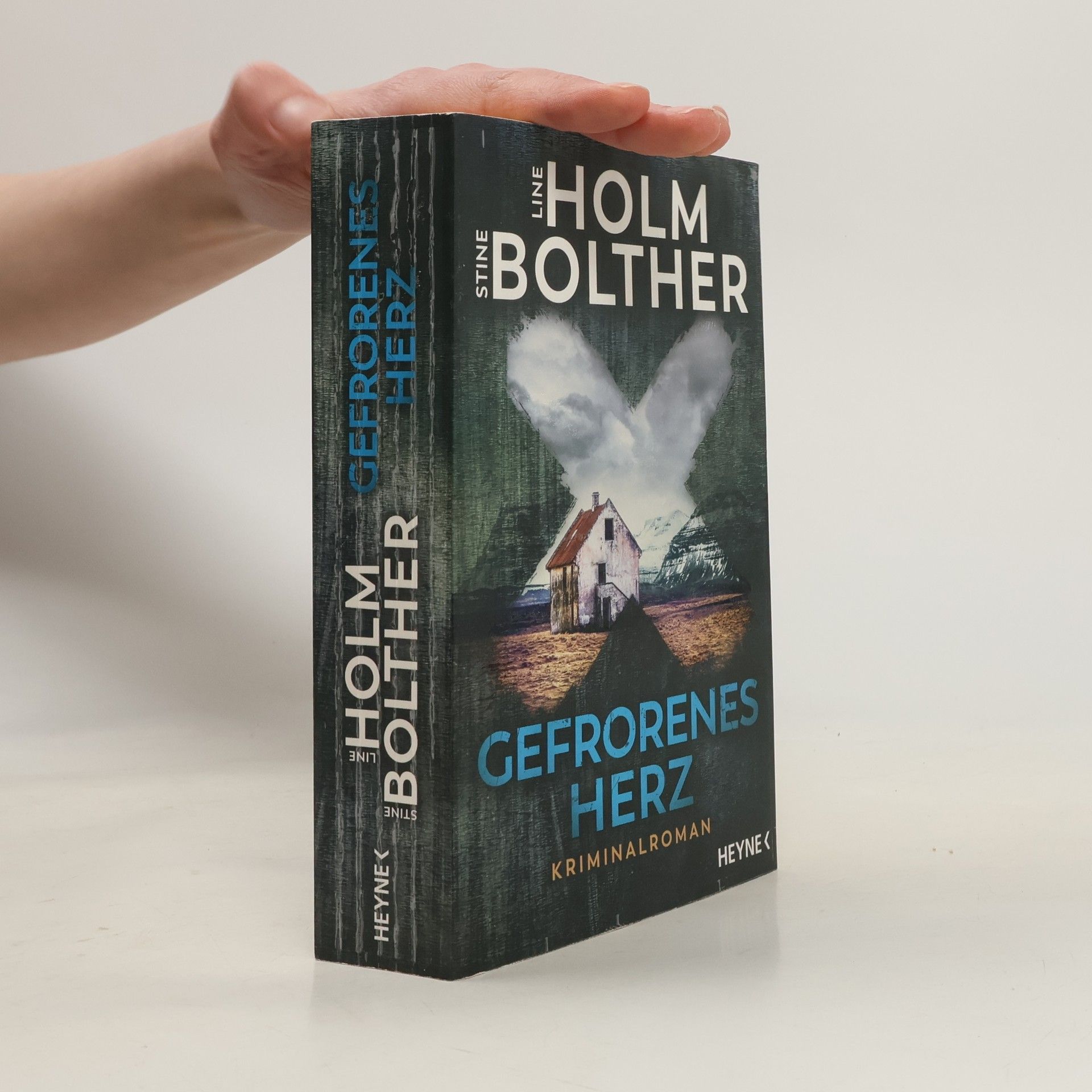 Stine Bolther Gefrorenes herz