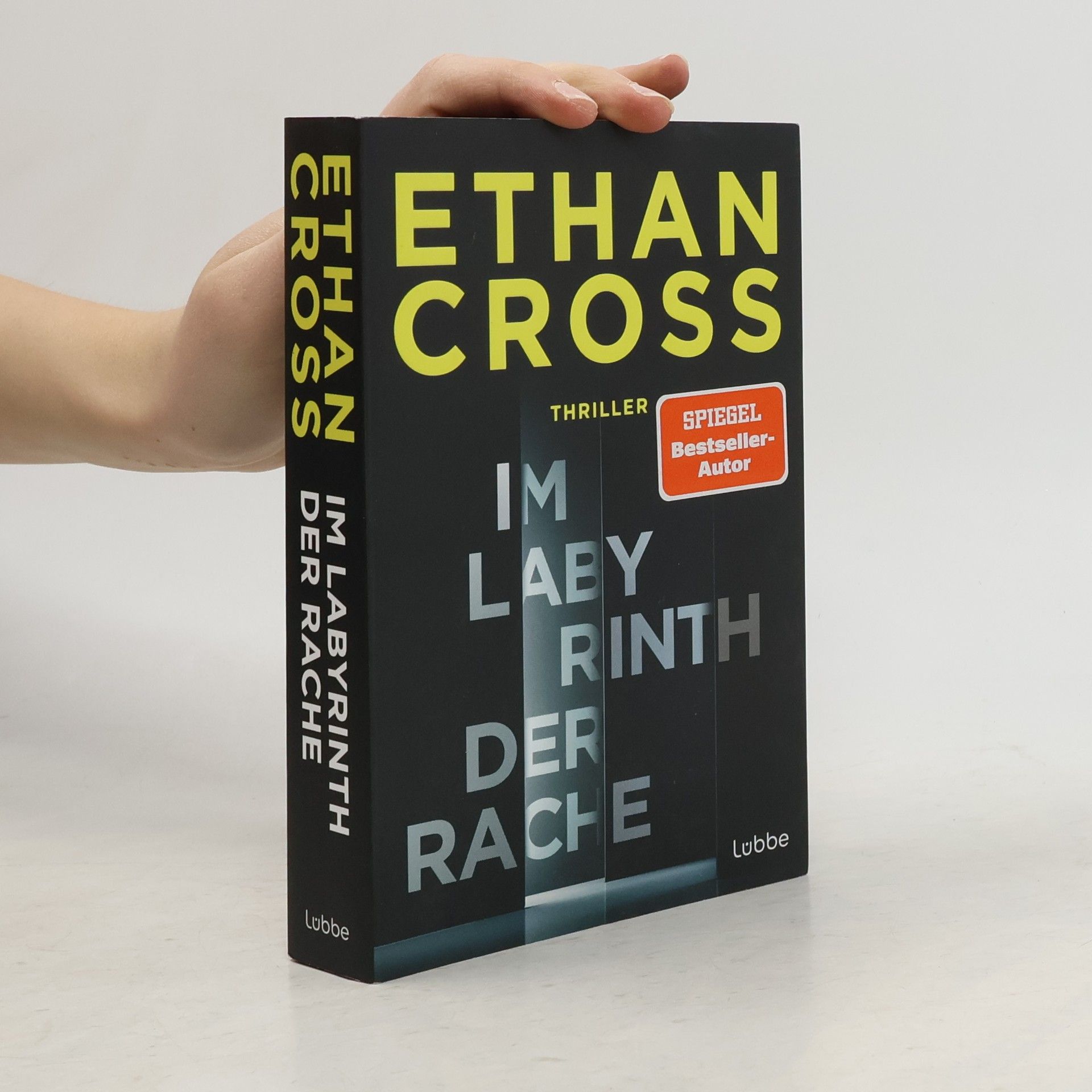 Ethan Cross Im Labyrinth der Rache. Thriller