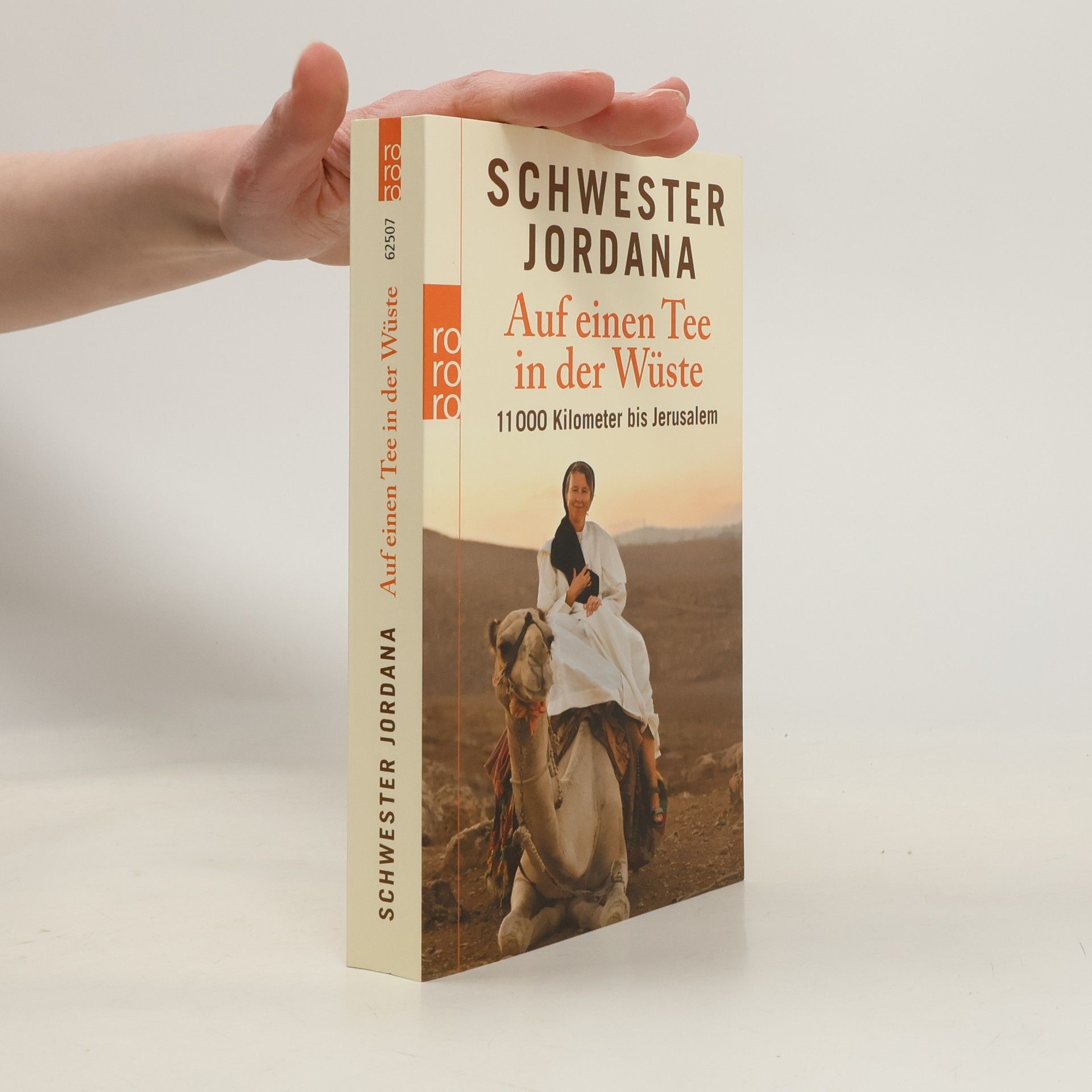 Iris Rohmann Auf einen Tee in der Wüste
