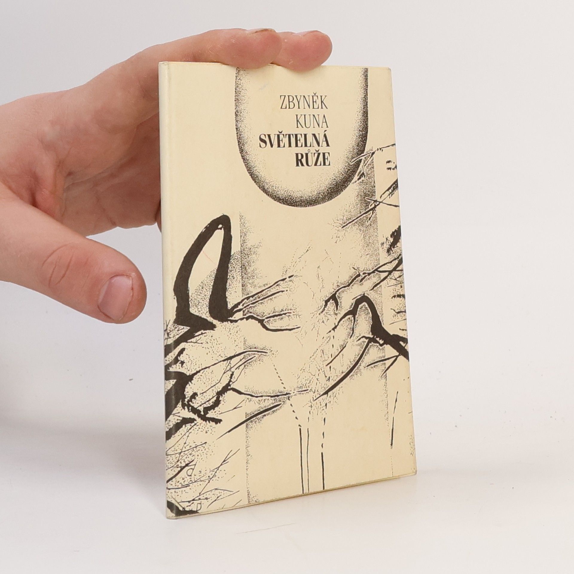Zbyněk Kuna Světelná růže