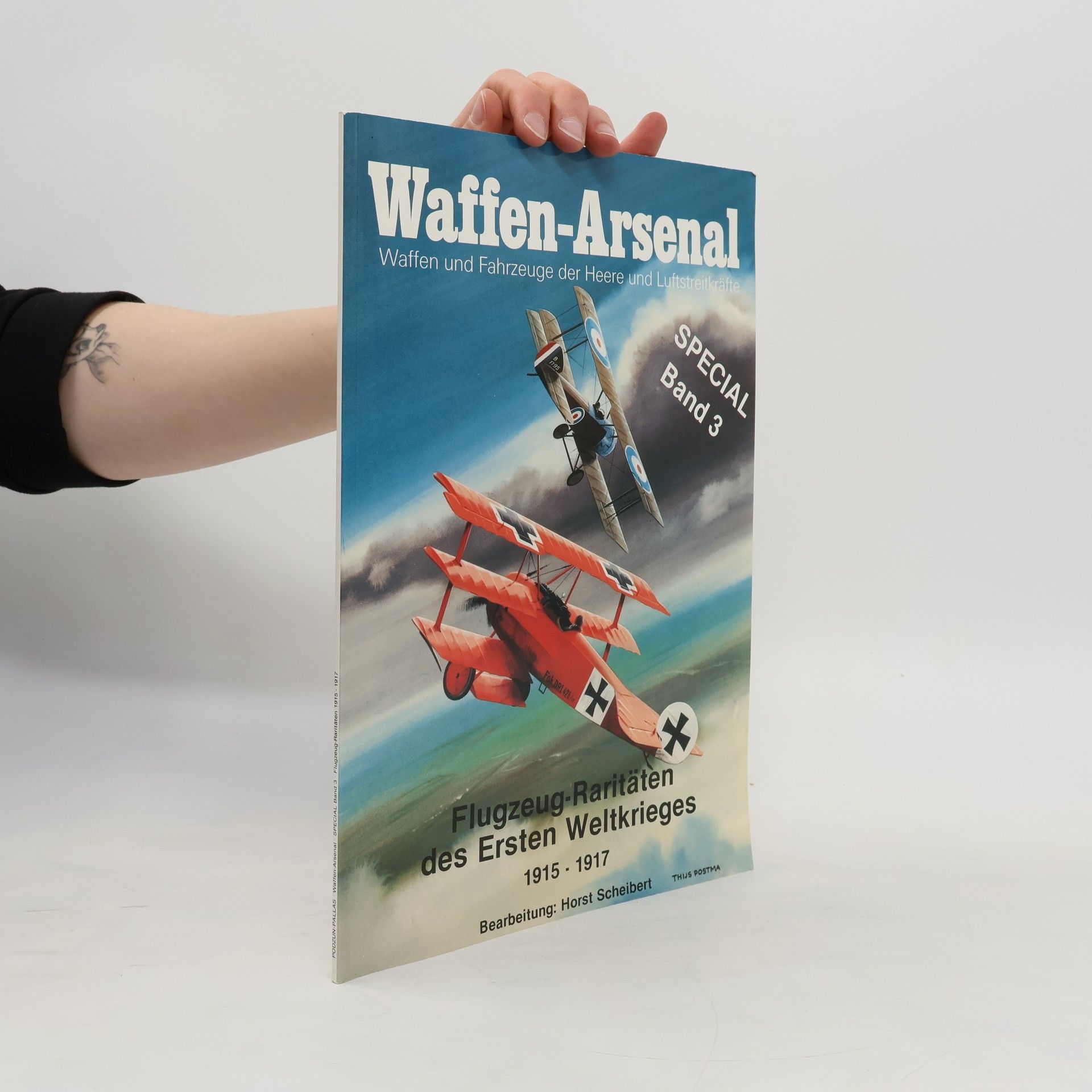 Horst Scheibert Flugzeug-Raritäten des Ersten Weltkrieges