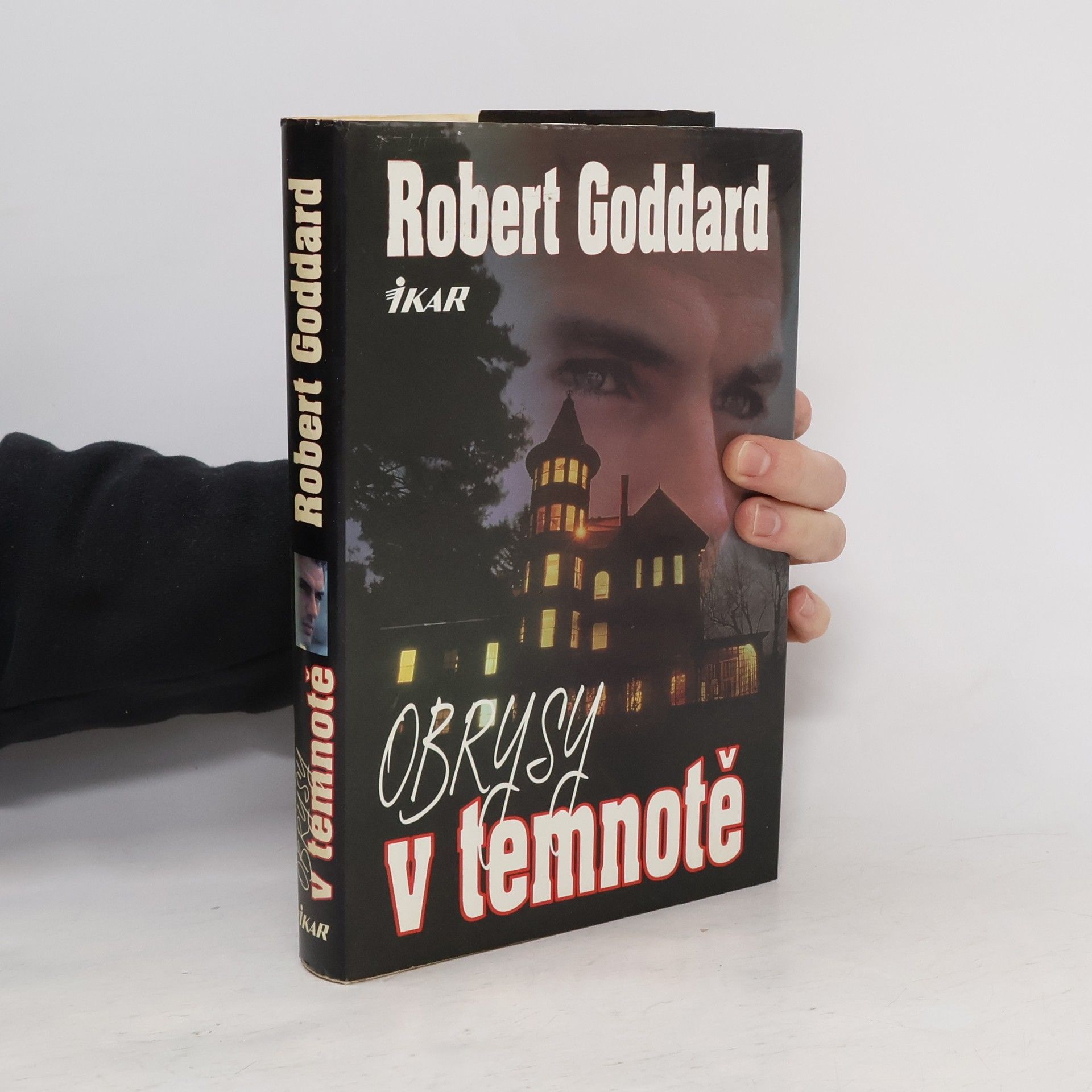 Robert Goddard Obrysy v temnotě