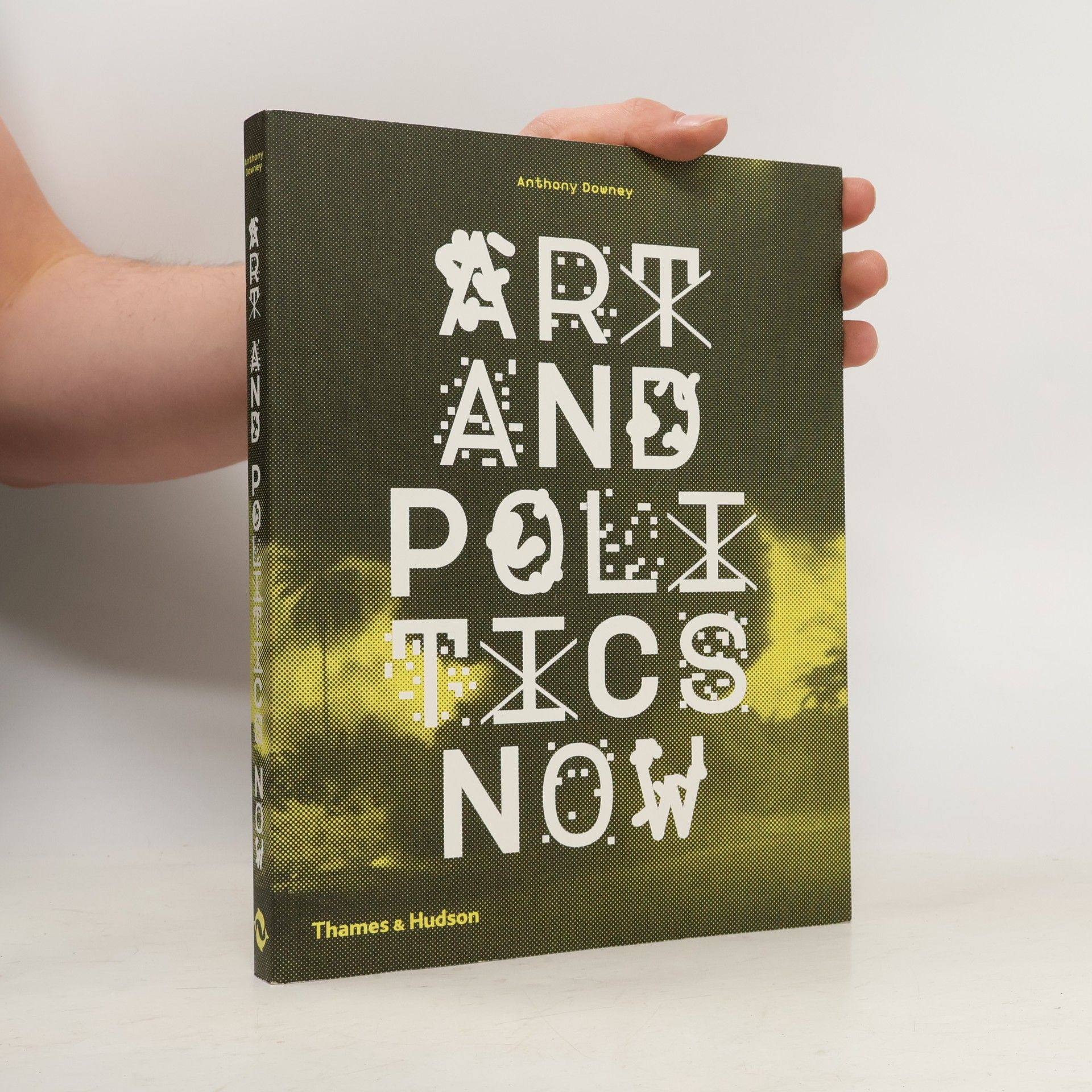 Anthony Downey Art and Politics Now