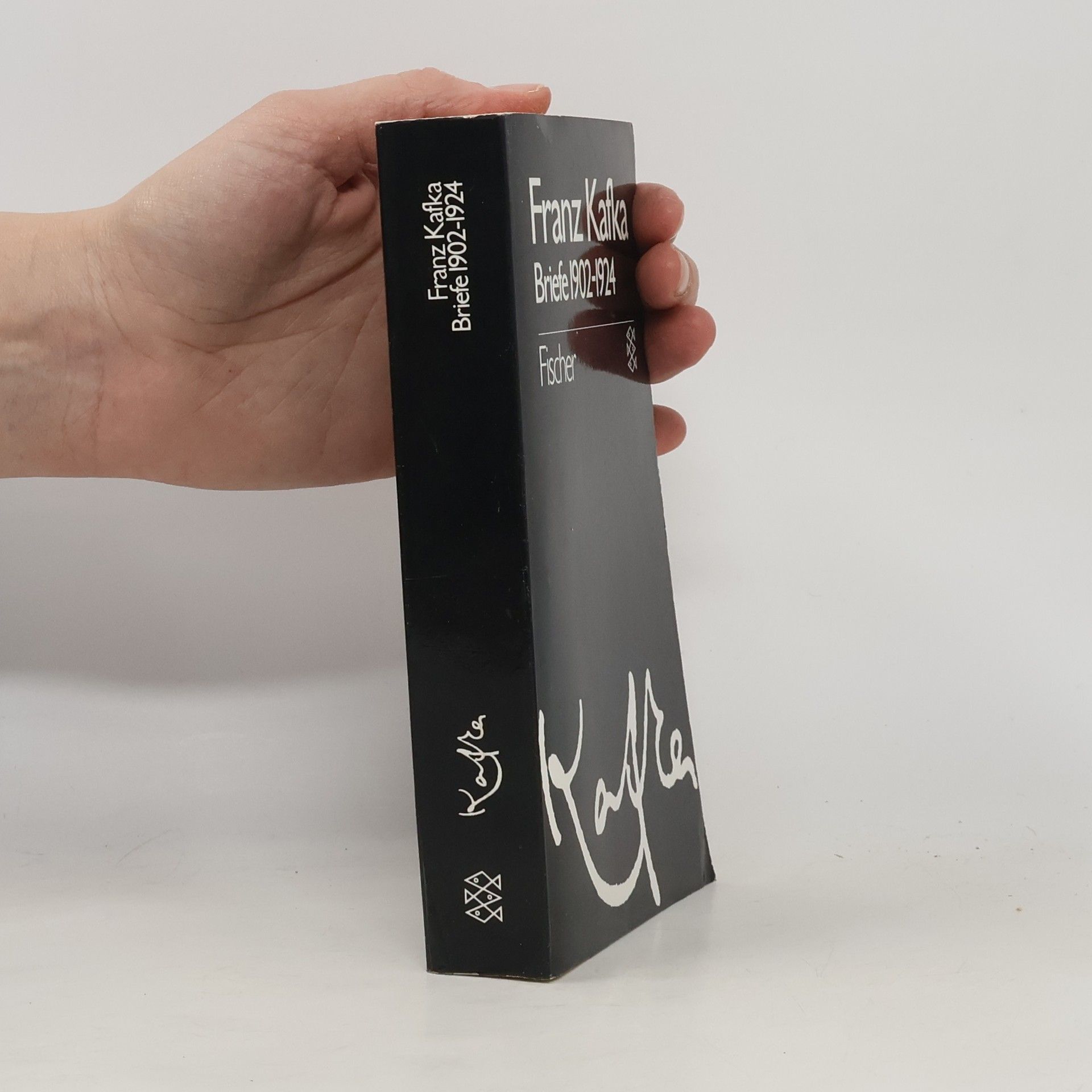 Franz Kafka Briefe 1902 - 1924