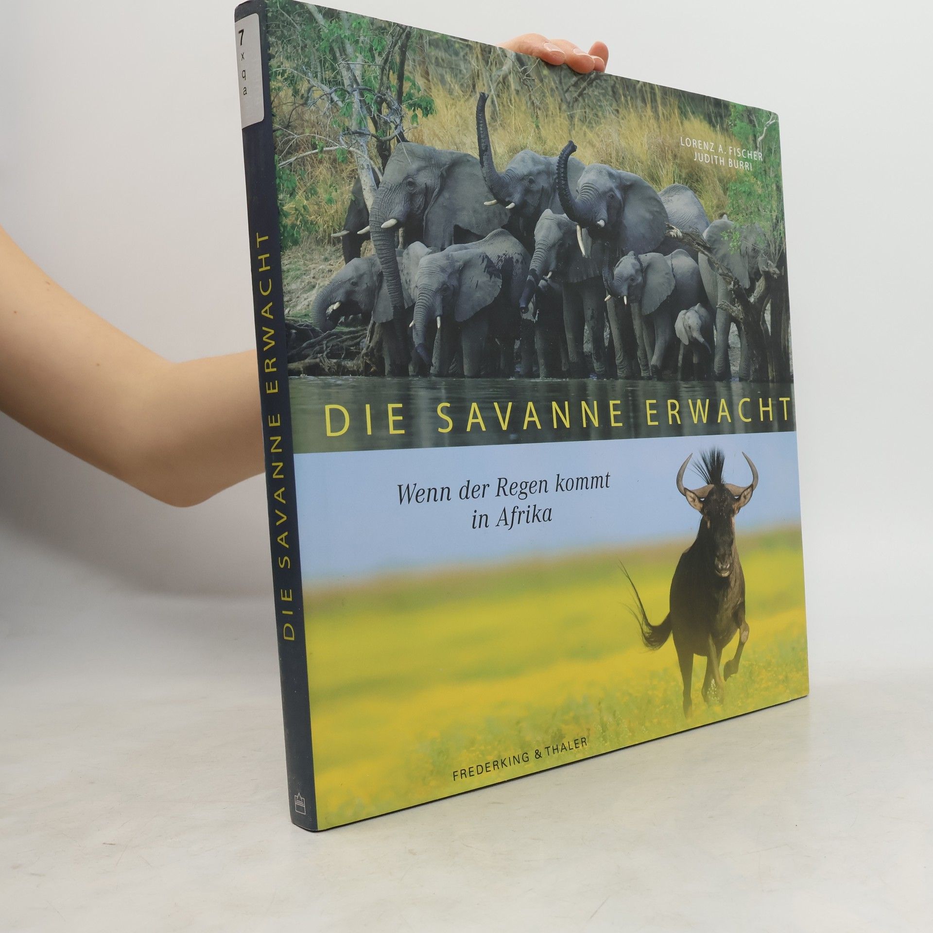 Lorenz Andreas Fischer Die Savanne erwacht