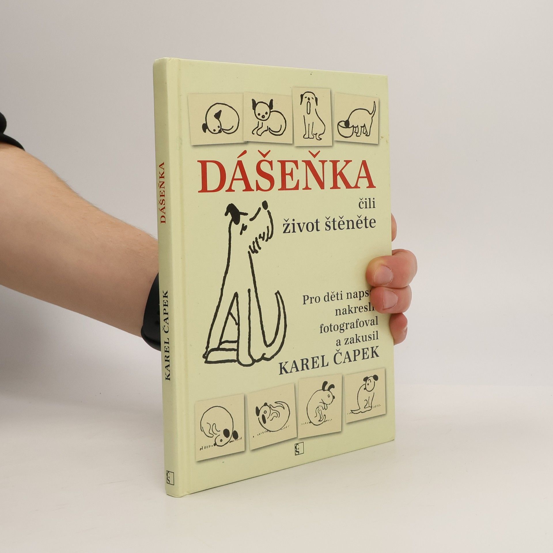 Dášeňka čili život štěněte