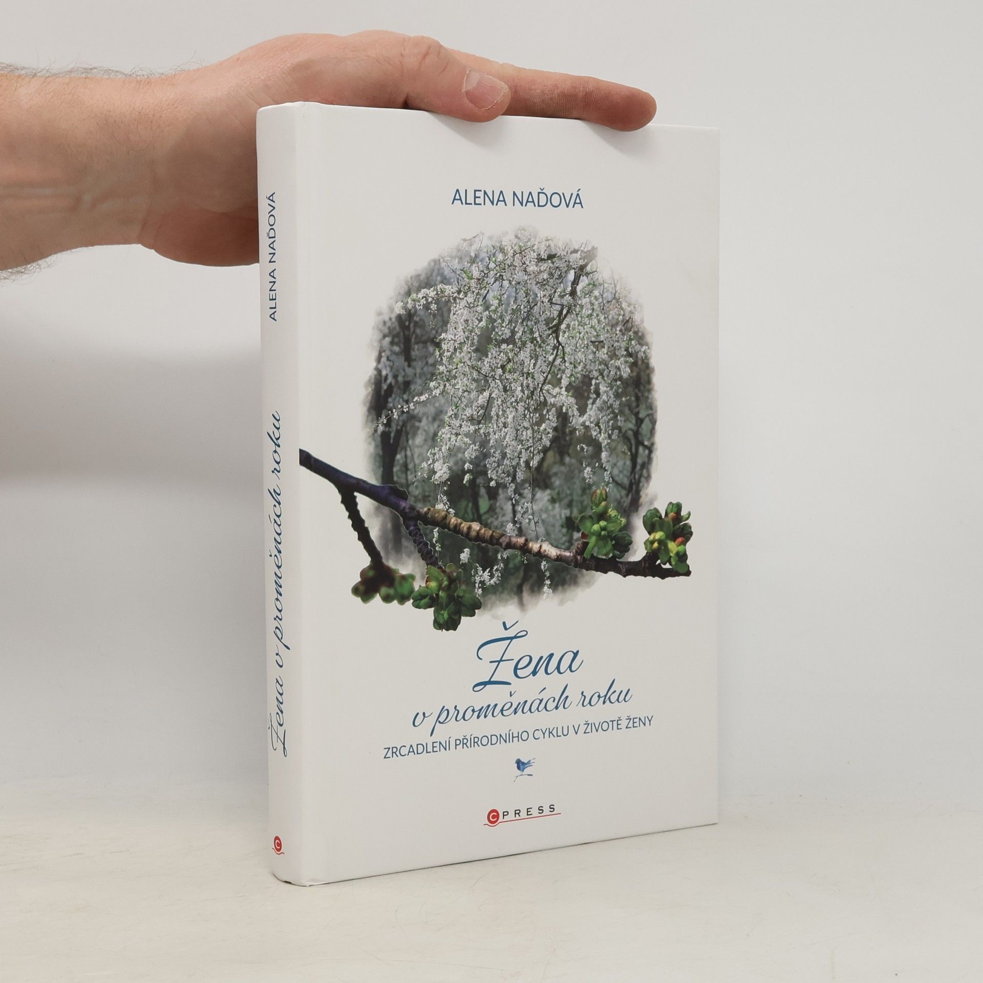 Alena Naďová Žena v proměnách roku