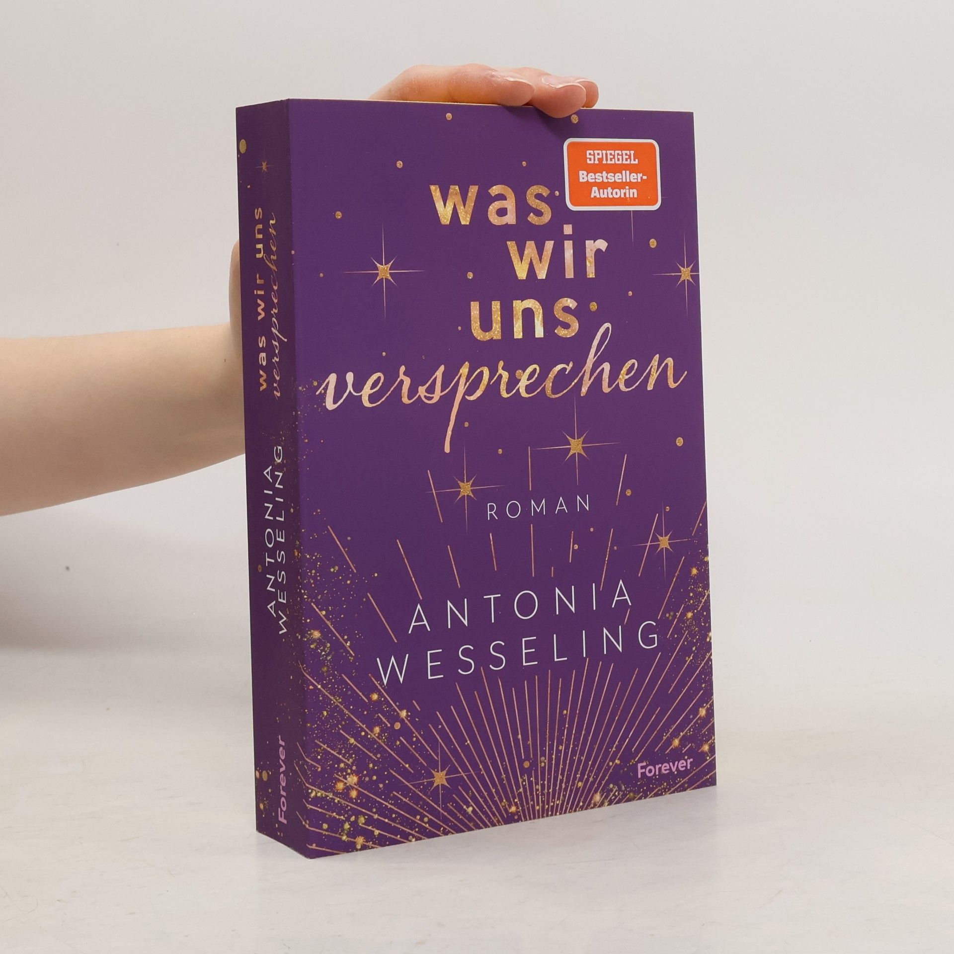 Antonia C. Wesseling Was wir uns versprechen (Light in the Dark 3)