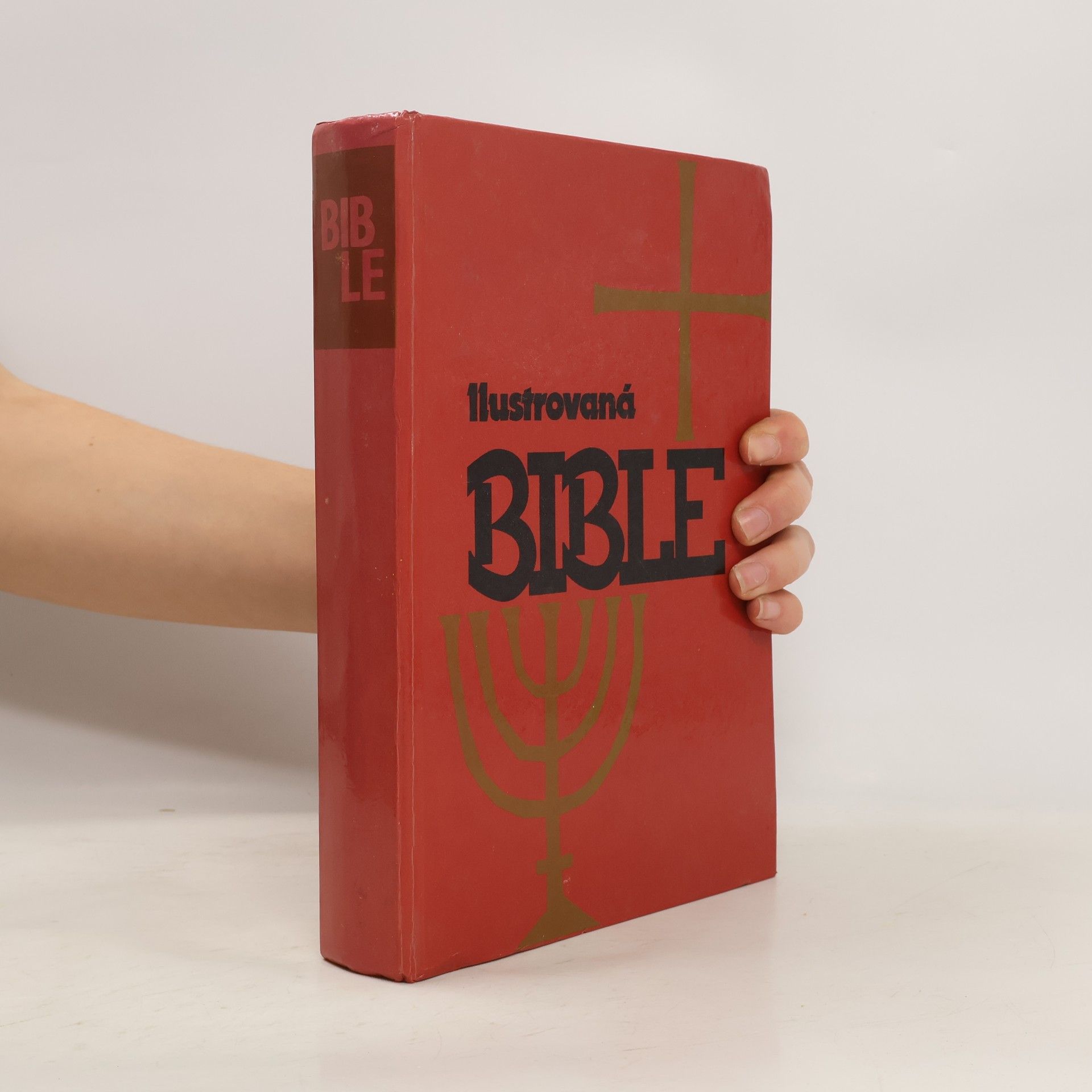 Samuel Terrien Ilustrovaná Bible pro mládež