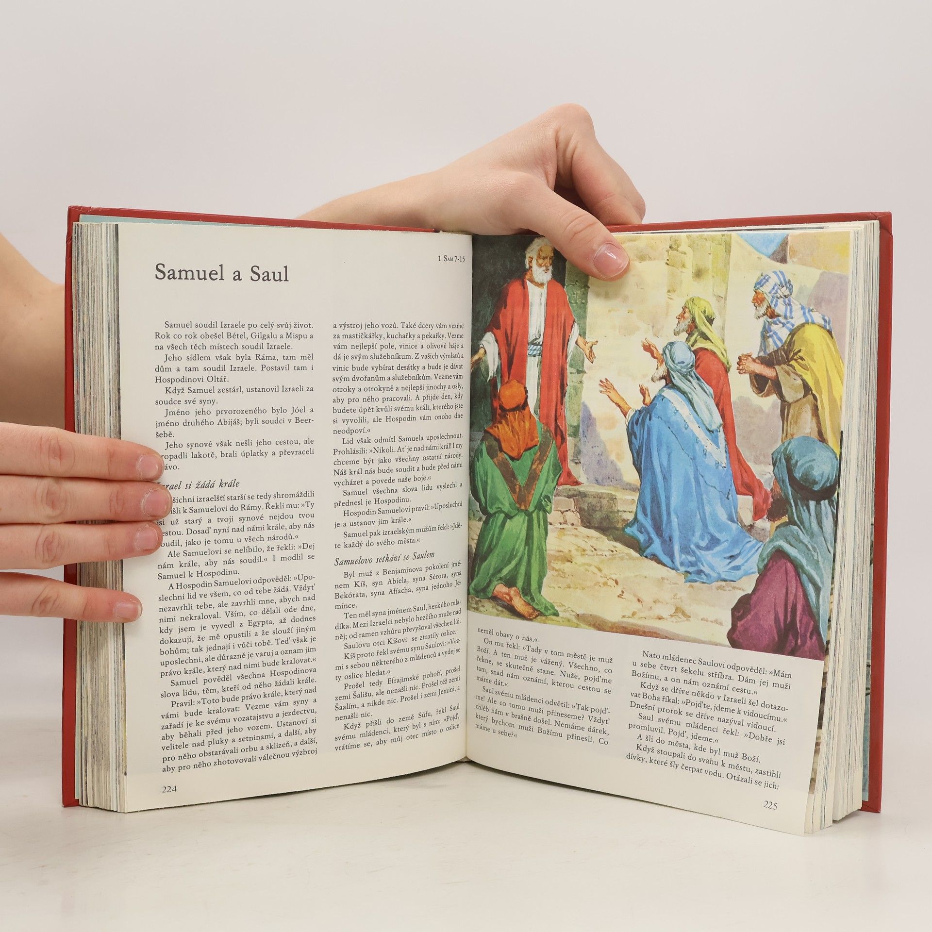 Samuel Terrien Ilustrovaná Bible pro mládež